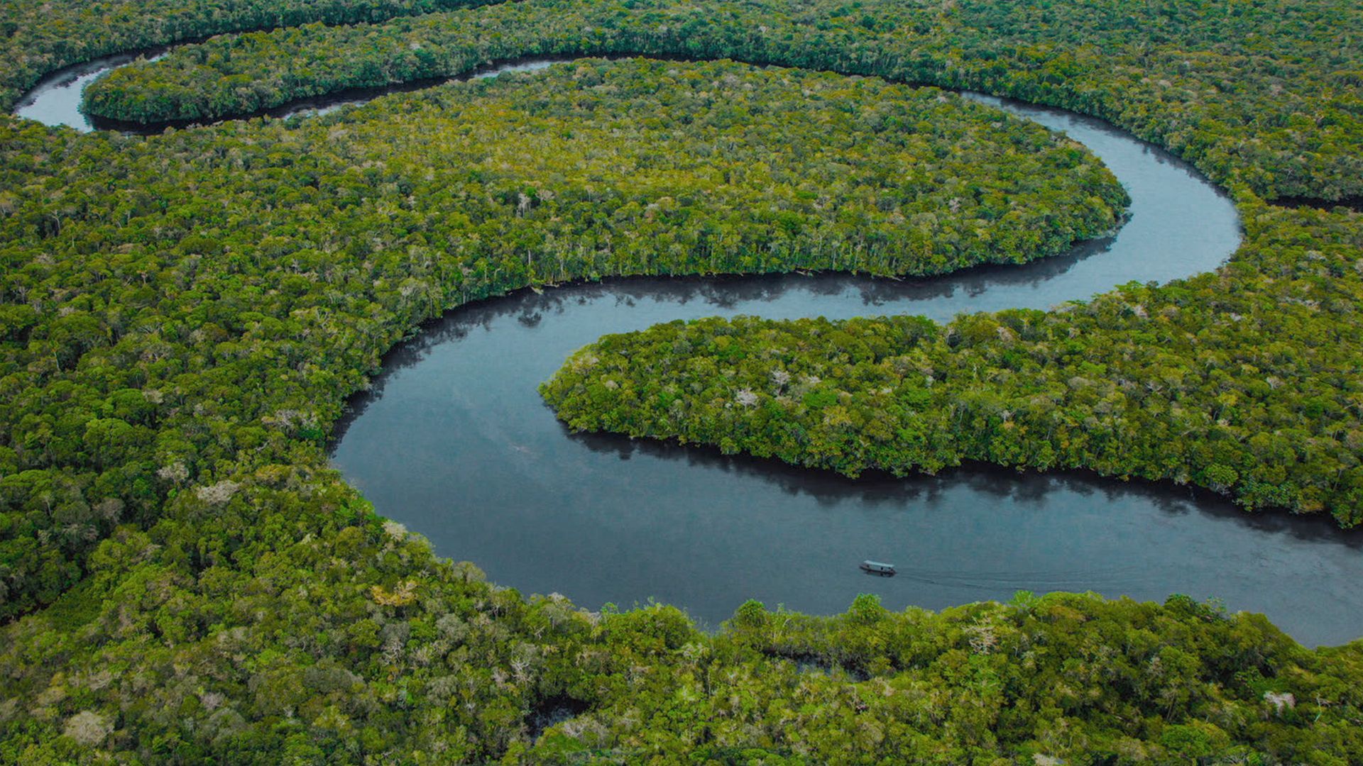 EL SENDERO AZUL - Foto 2