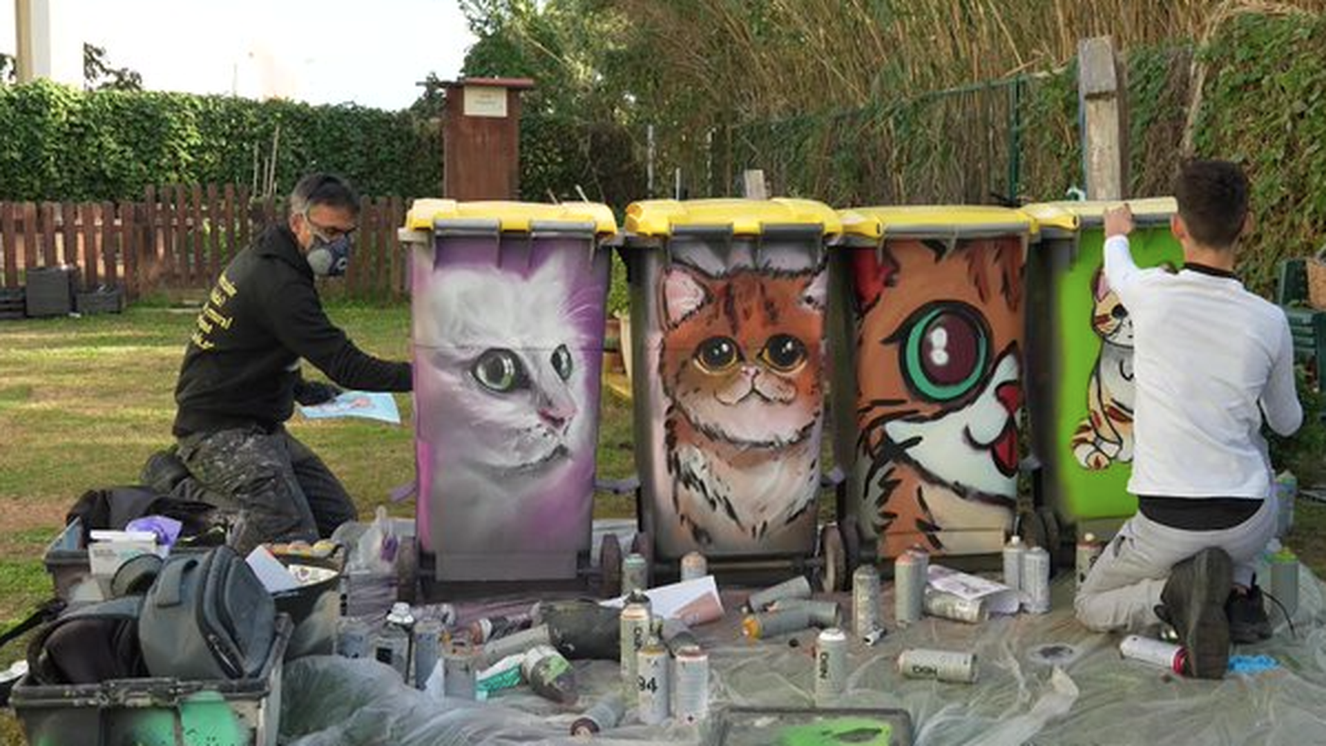 Transforman contenedores en refugios felinos