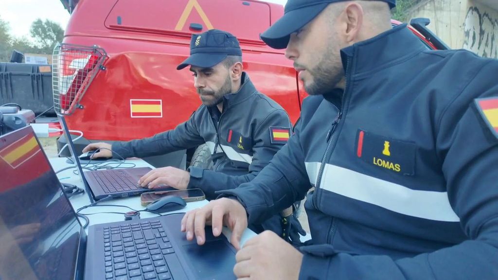 Amplían hasta los 20 kilómetros el radio de búsqueda de los jabalíes muertos con peste porcina