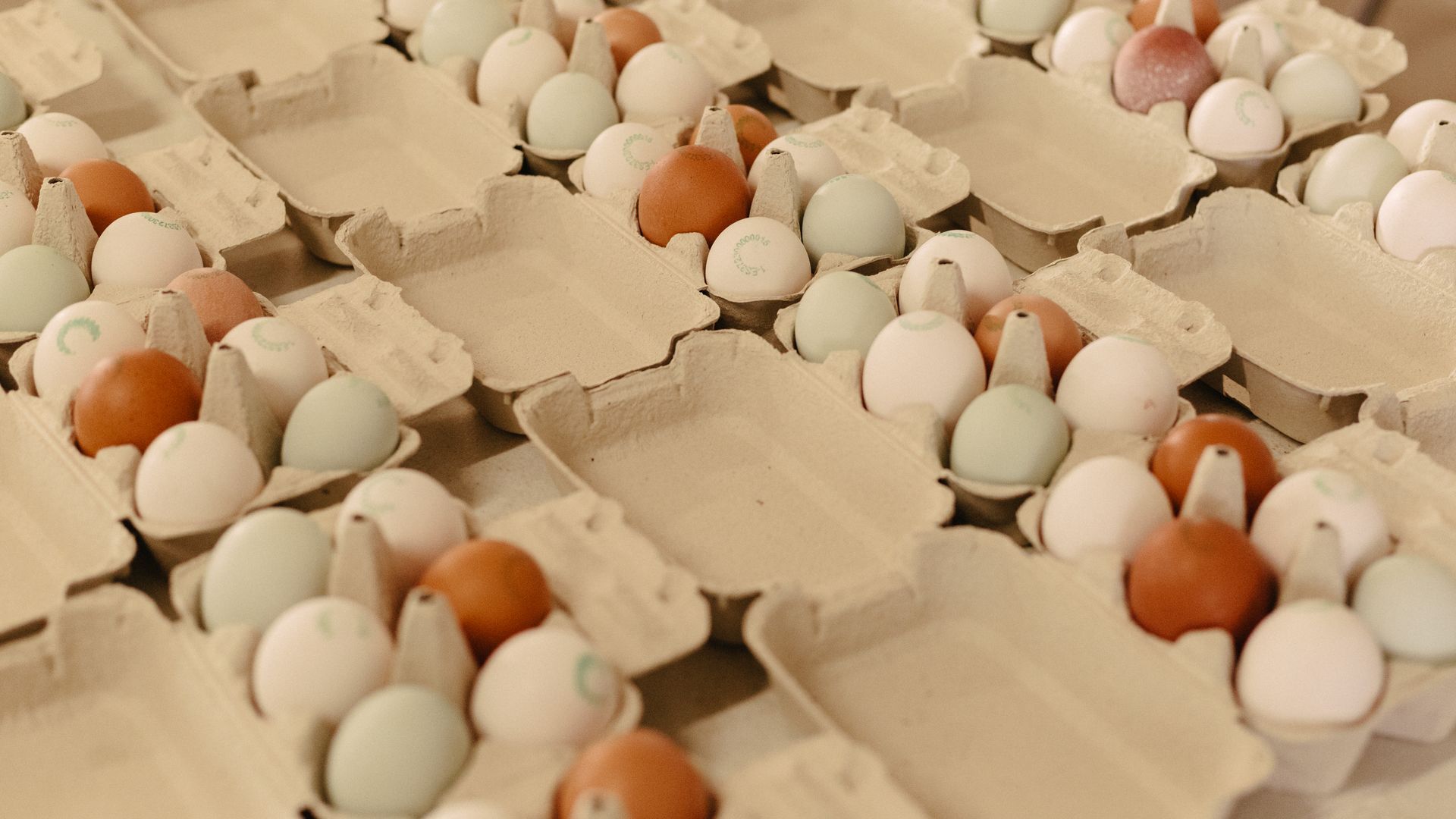 Hueveras listas para ser enviadas a los miembros del club