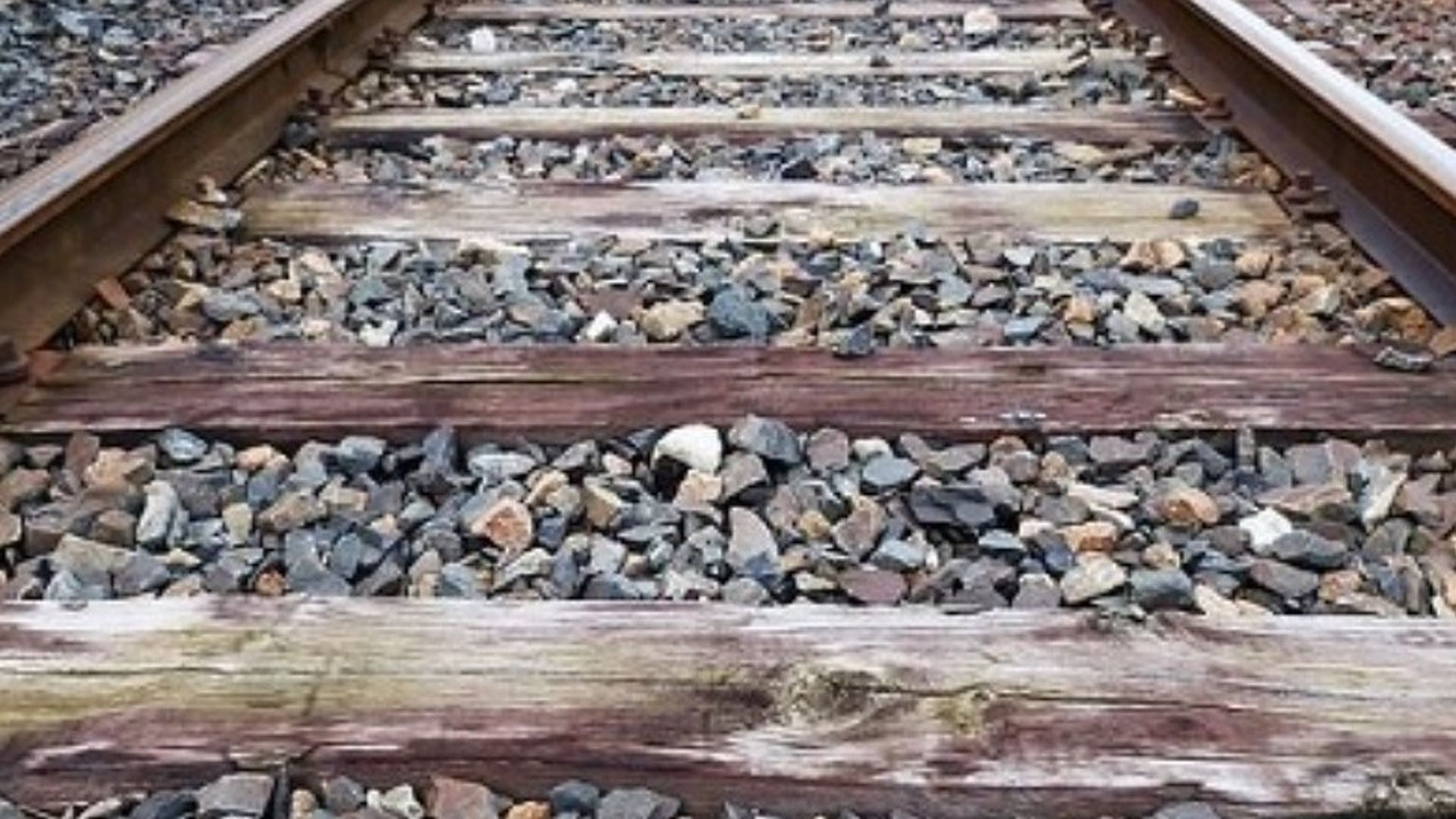 EuropaPress_7058692_via_tren