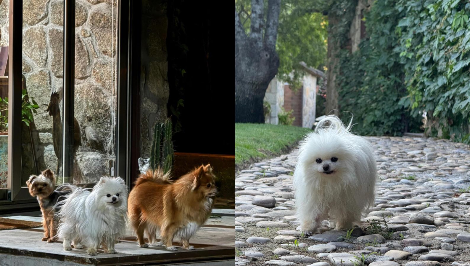 Los exteriores de la casa de Fernando Tejero