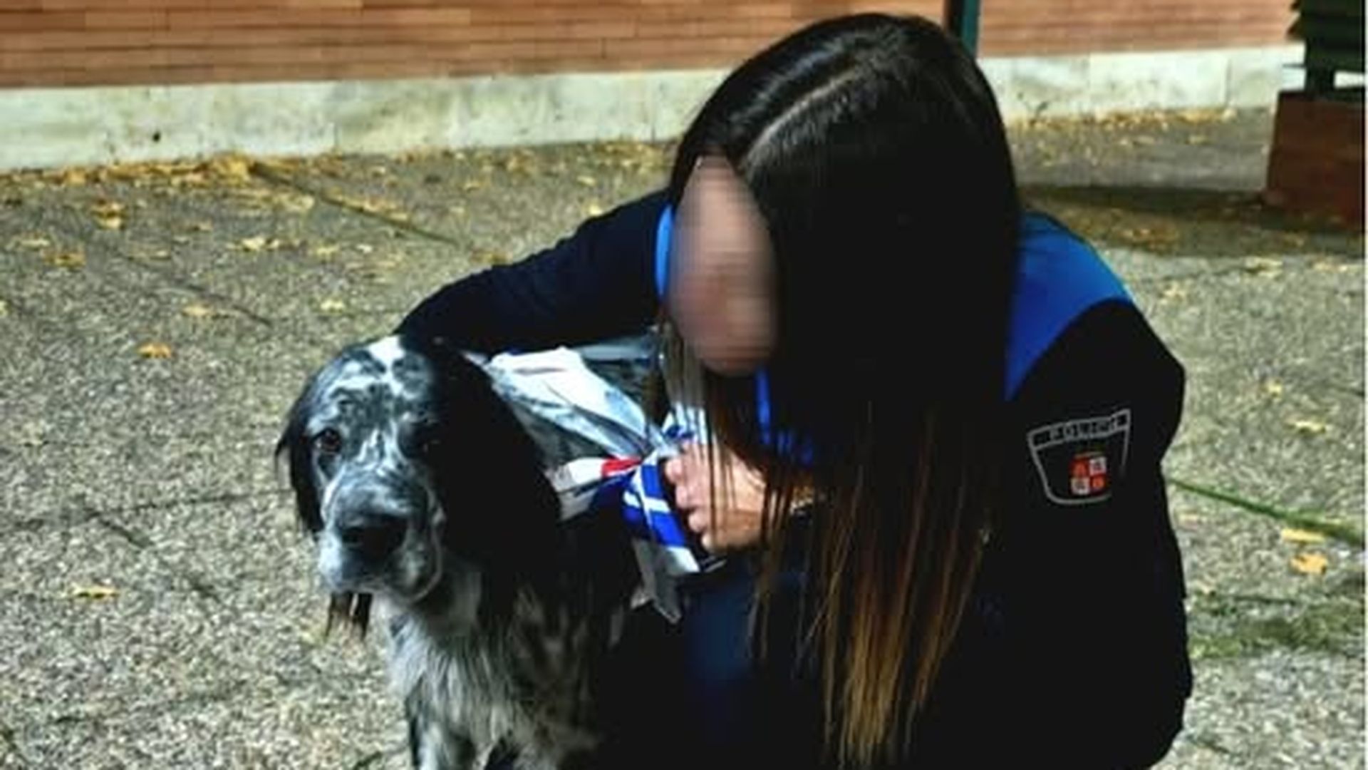 Policía Local de Palencia con perro perdido