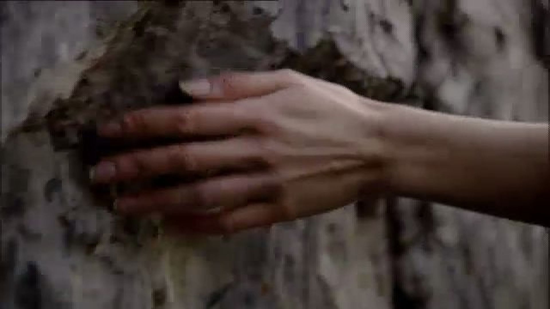 Corporate video Mediaset España 2012