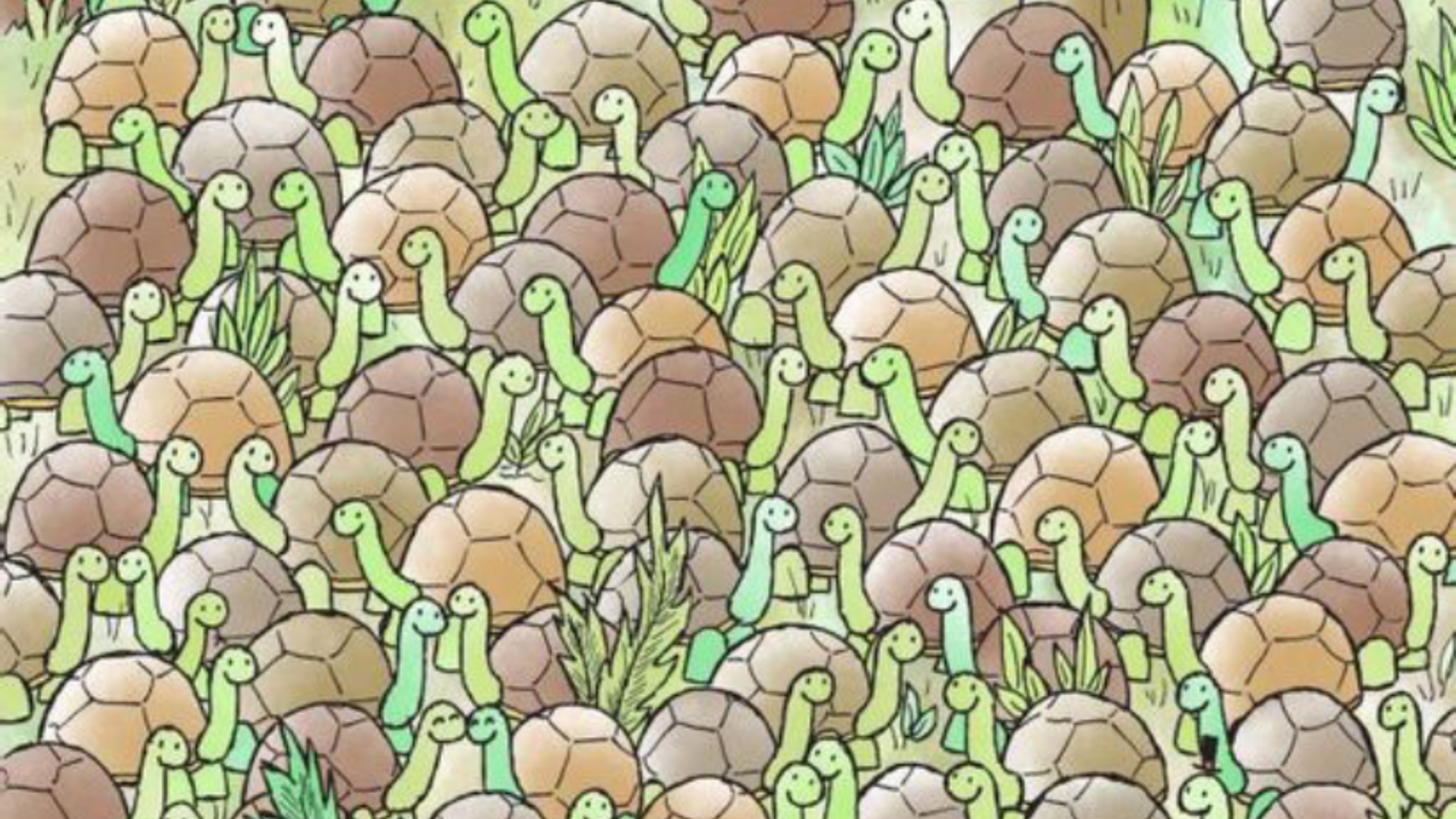 ¡Encuentra a la serpiente entre las tortugas!