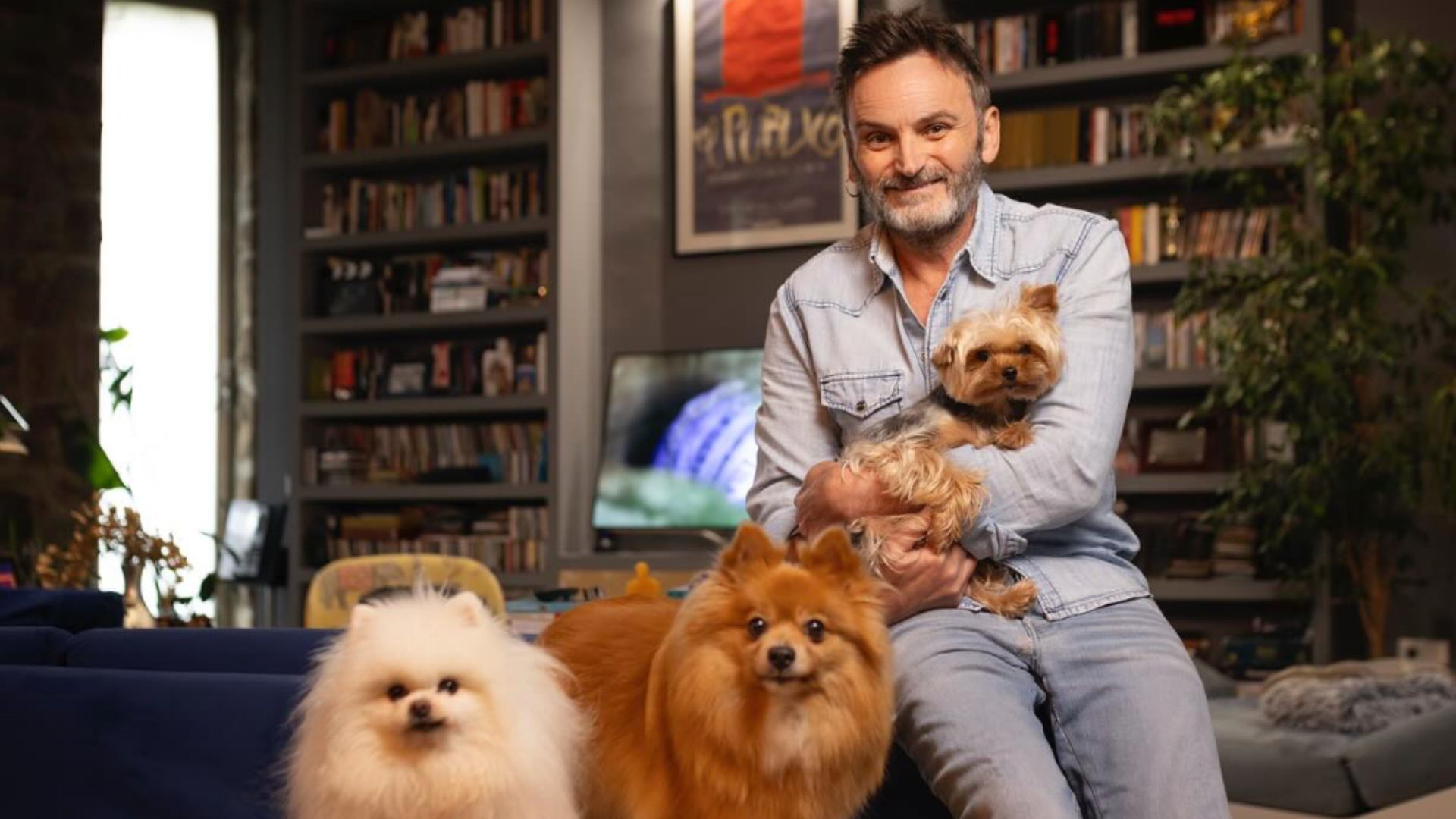 Fernando Tejero abre las puertas de su salón de estilo rústico con paredes de piedra natural, vigas vista y una gran librería a medida