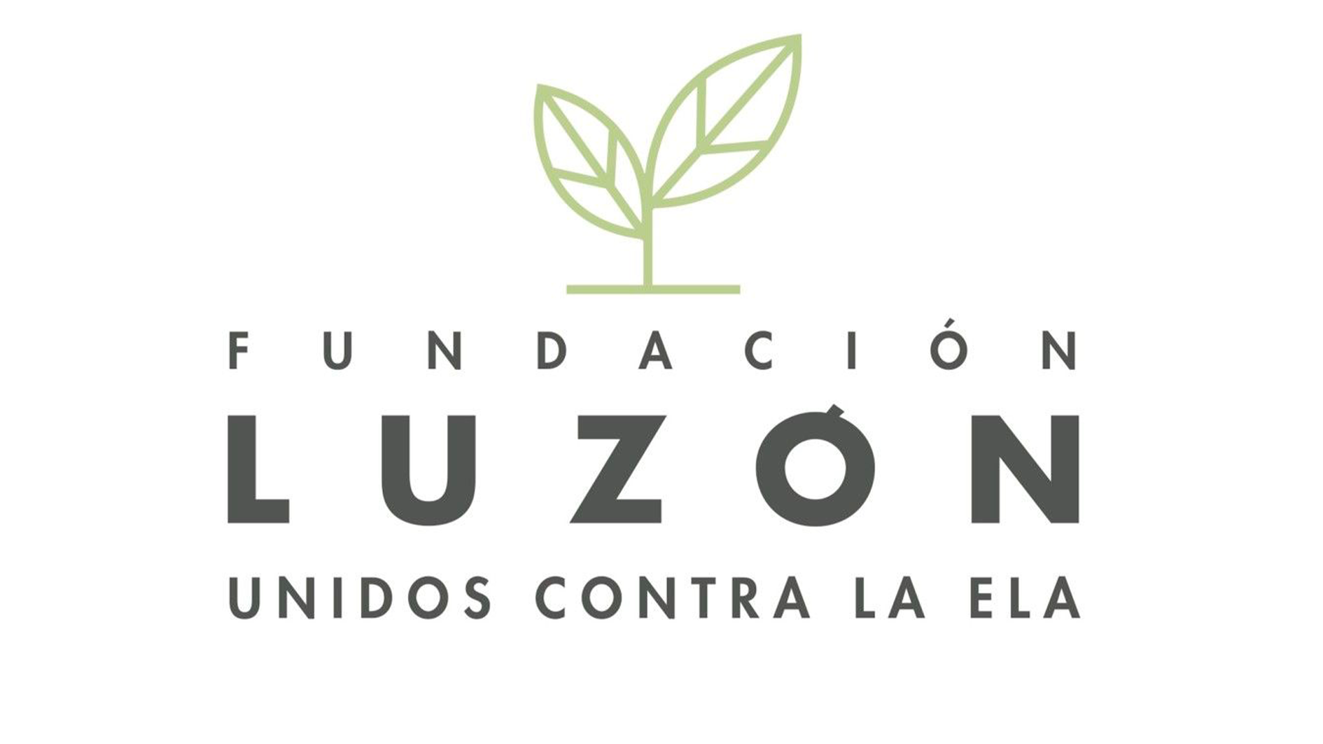 fundación luzón