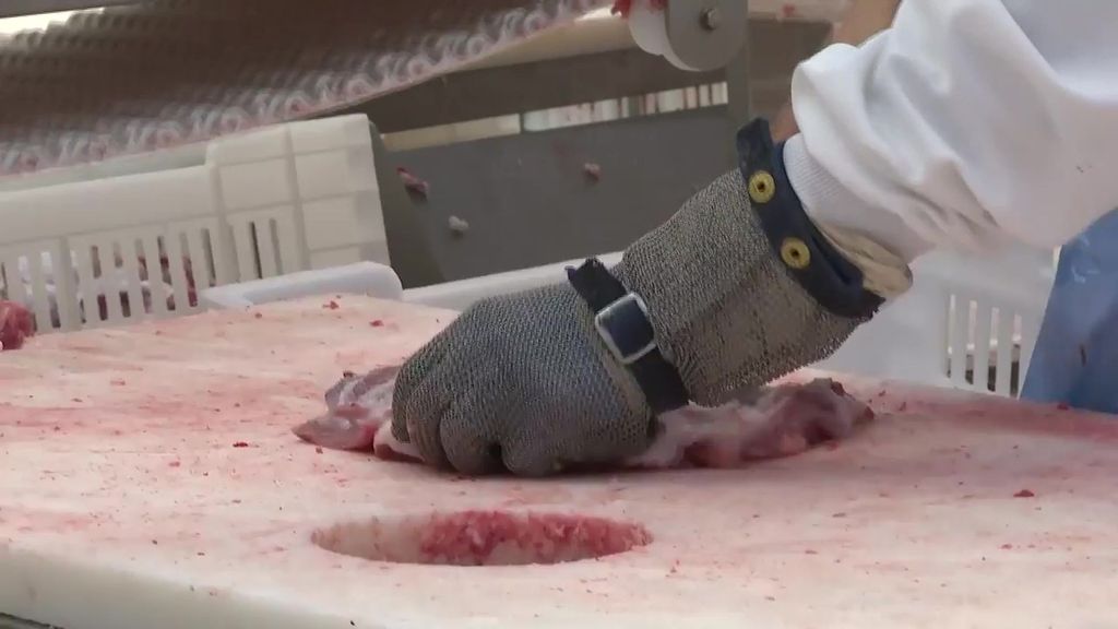 La peste porcina ya golpea a las empresas cárnicas que empiezan a prescindir de trabajadores temporales