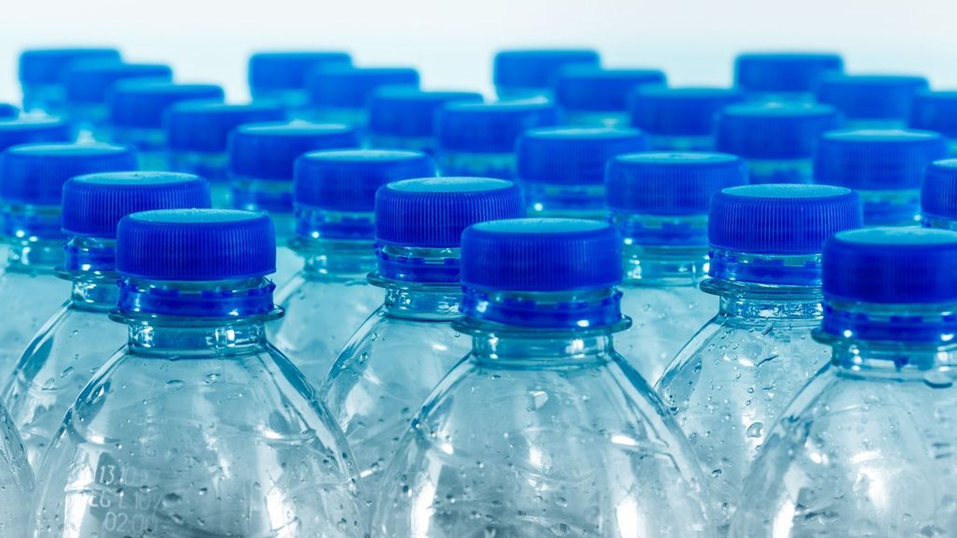 Tapones para una nueva vida