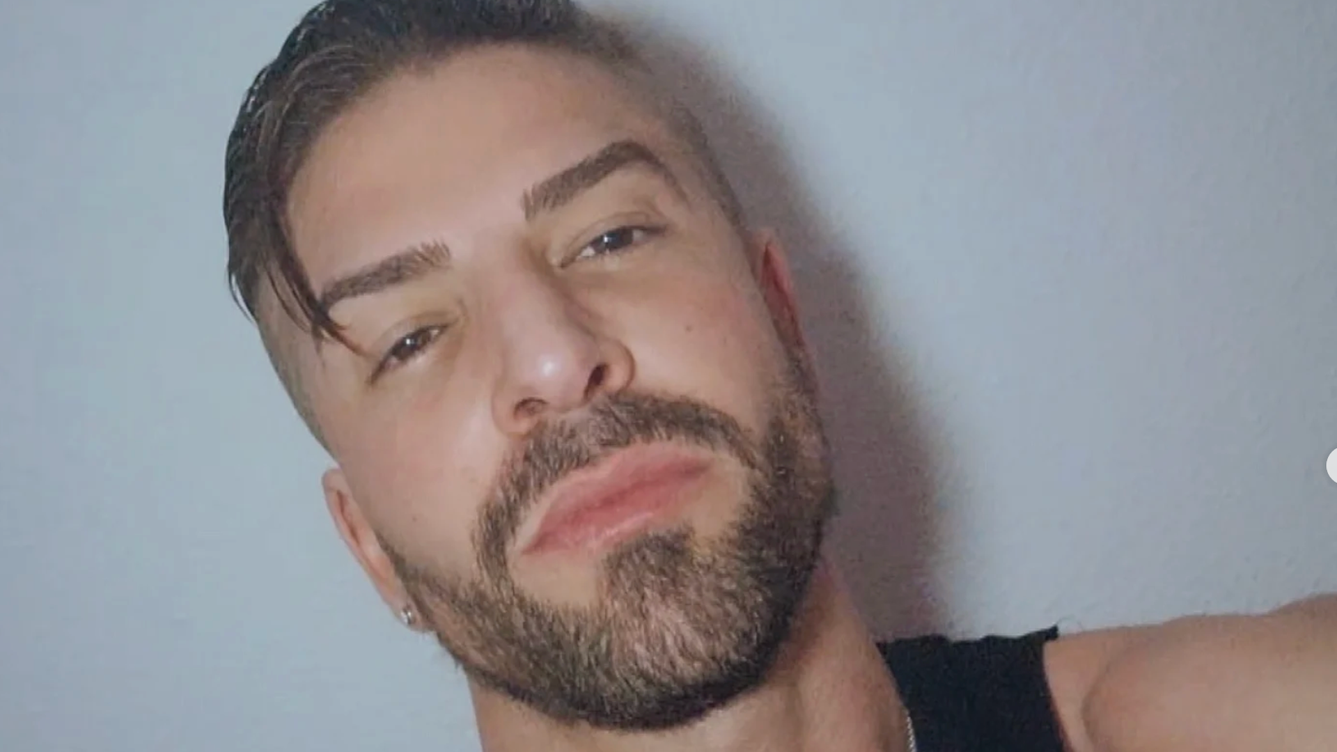 Labrador en sus redes sociales Labrador en sus redes sociales