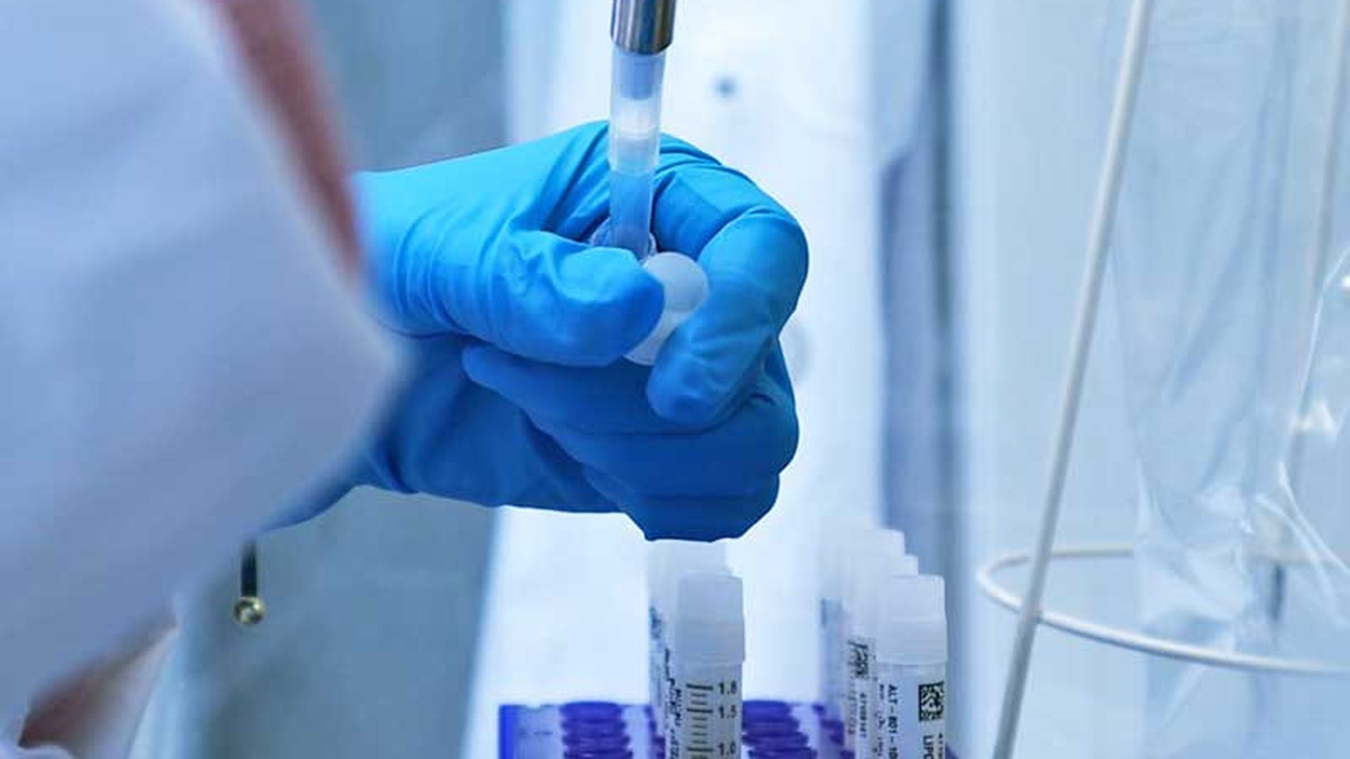 El equipo internacional de investigación ha estado liderado por Óscar Millet y José M. Mato