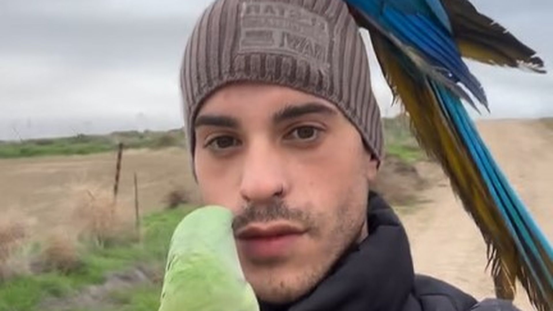 El influencer navarro Marcos Moreno pide ayuda para encontrar a cuatro guacamayos que le robaron