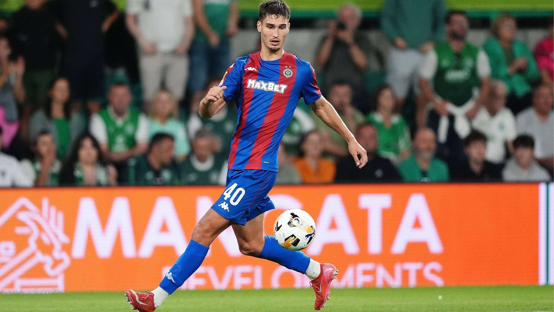 81362421jpg.jpg 81362421jpg.jpg