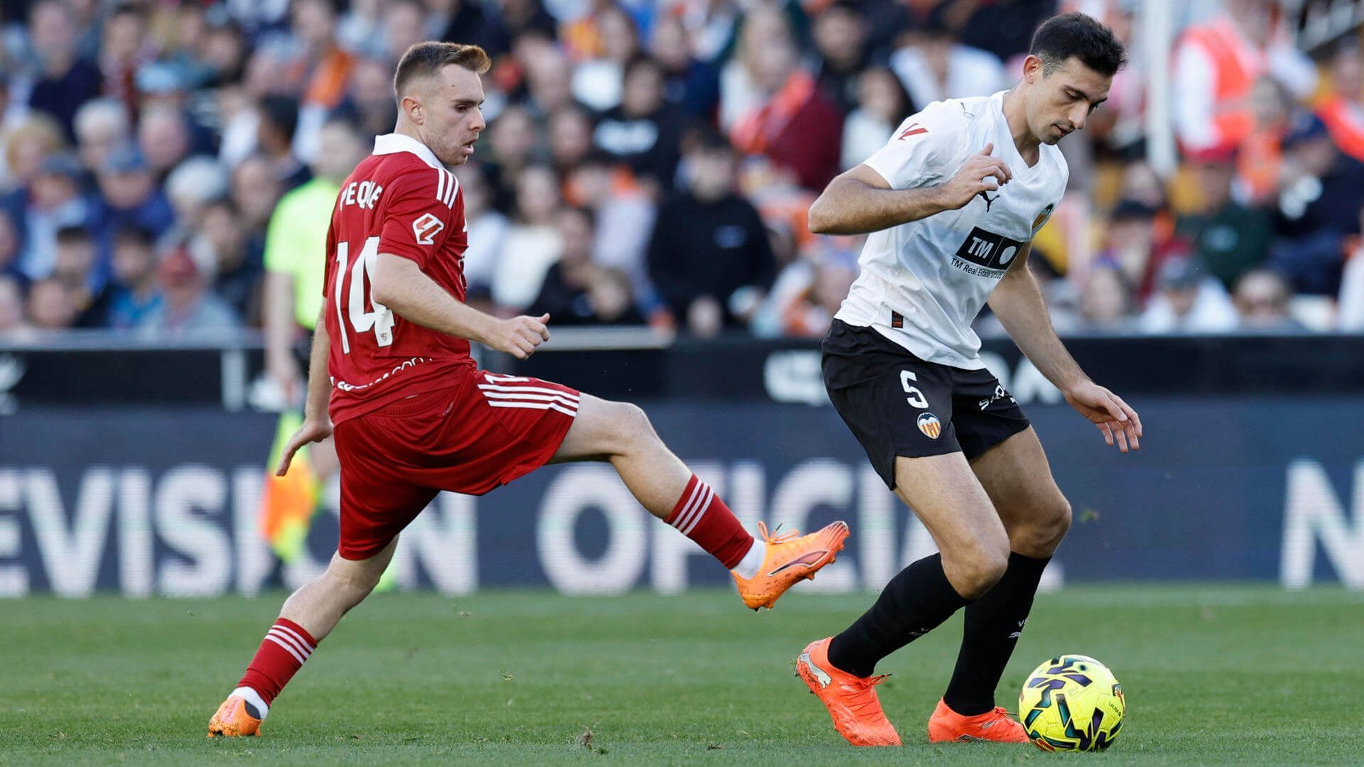 9cb341a4c5dc557a15888e9074437fe4a01a4624wjpg.jpg 9cb341a4c5dc557a15888e9074437fe4a01a4624wjpg.jpg