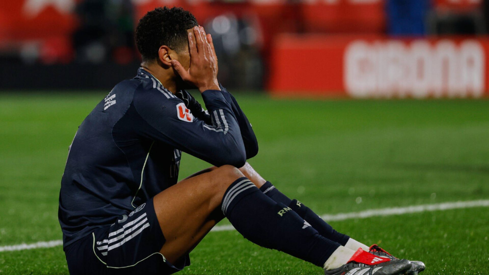 bellinghamjpg_001.jpg bellinghamjpg_001.jpg