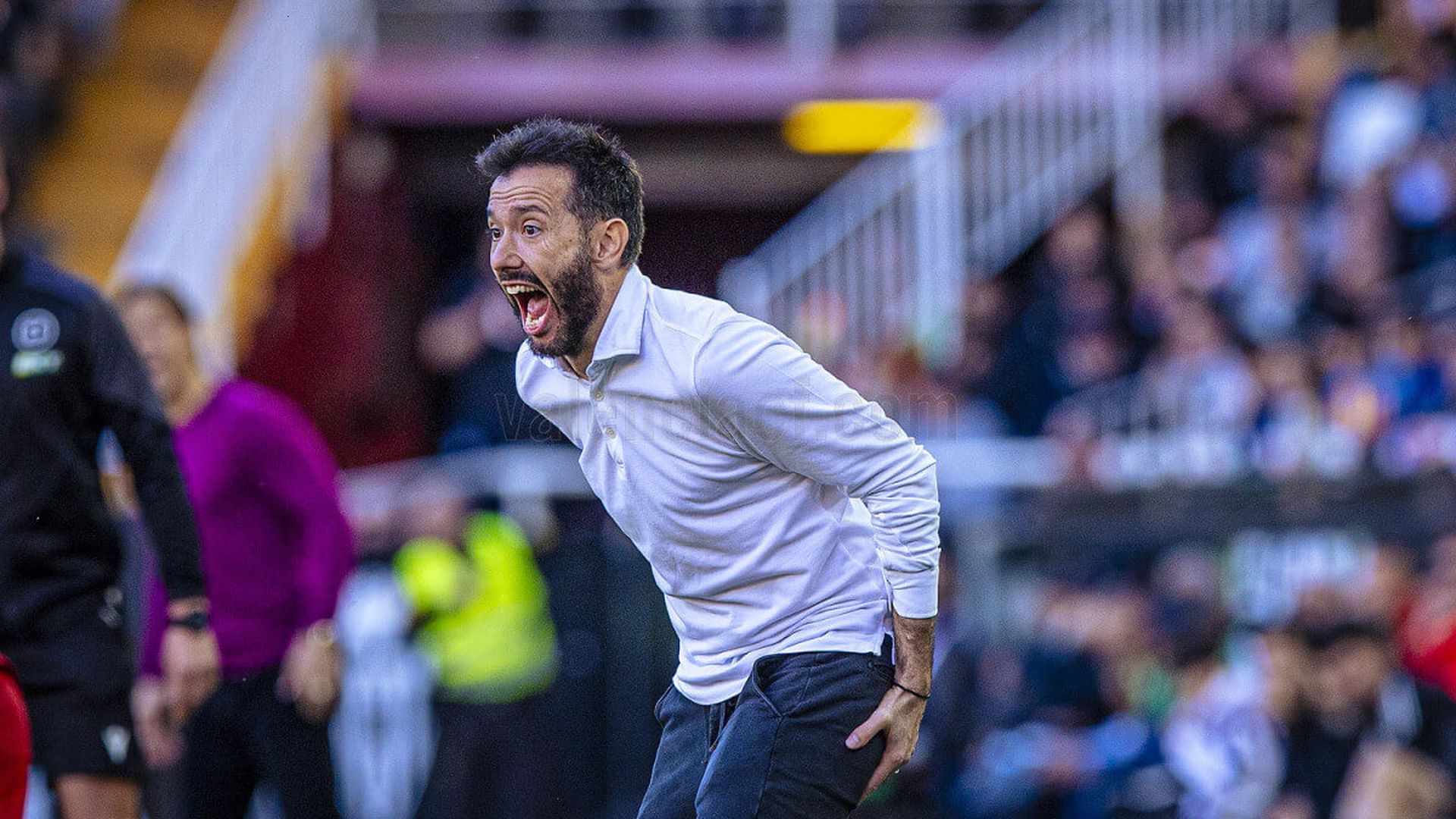 carlos_corberan_en_mestalla_foto_vcf_001.jpg carlos_corberan_en_mestalla_foto_vcf_001.jpg