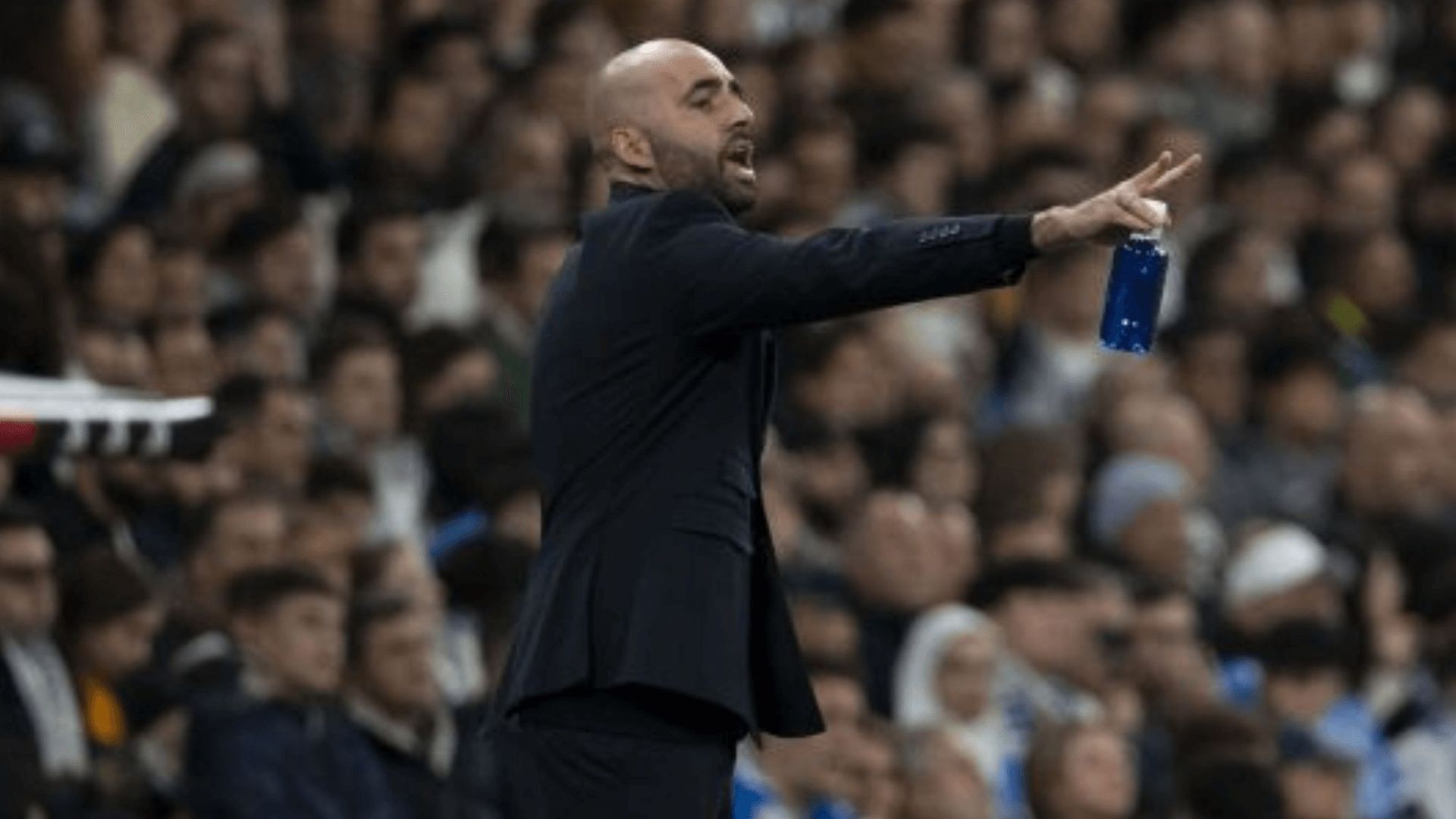 diseno_sin_titulo_17png.png diseno_sin_titulo_17png.png