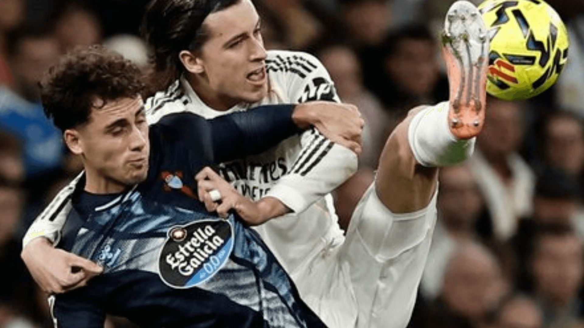 diseno_sin_titulo_18png_001.png diseno_sin_titulo_18png_001.png