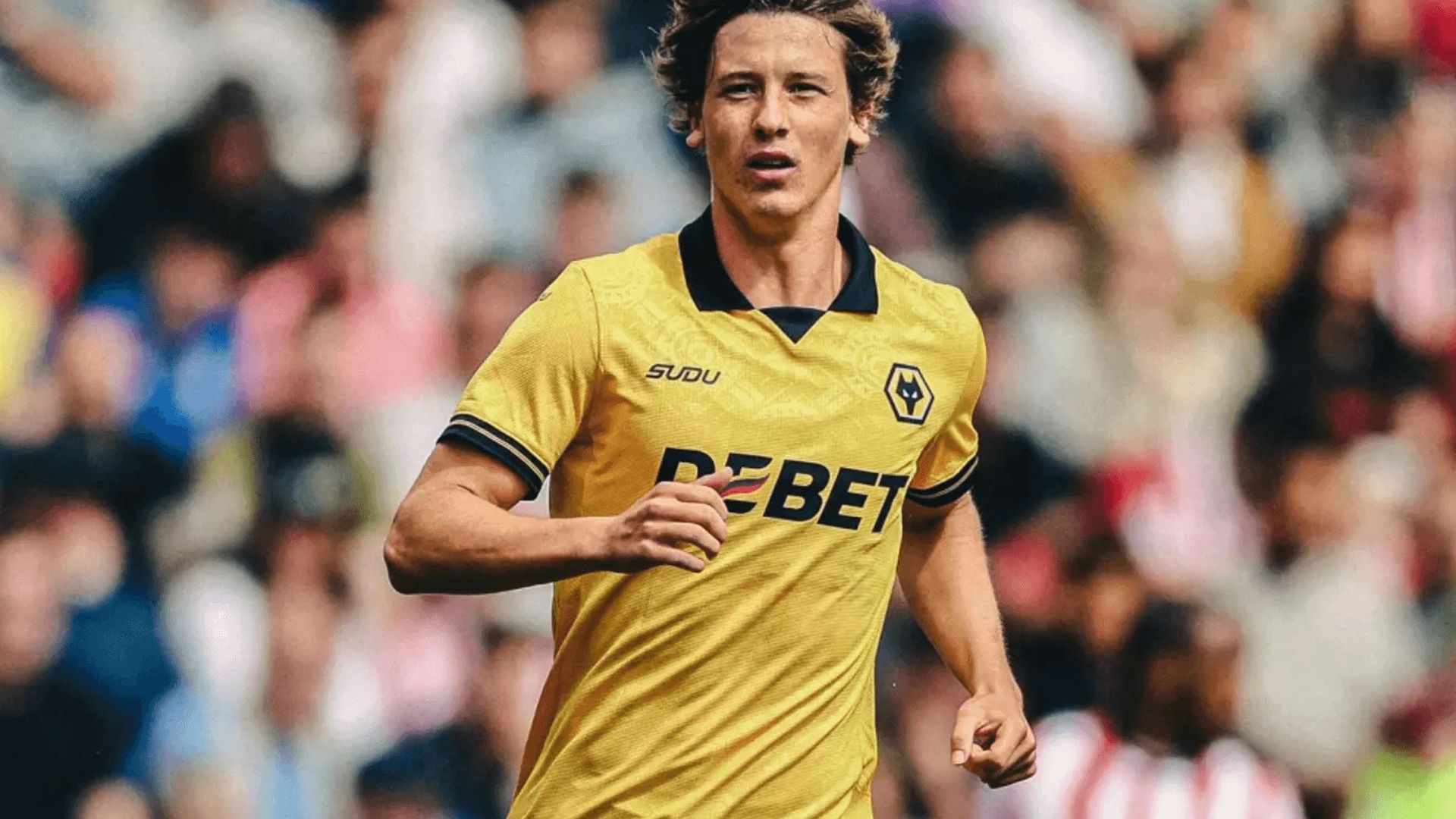 diseno_sin_titulo_25png.png diseno_sin_titulo_25png.png