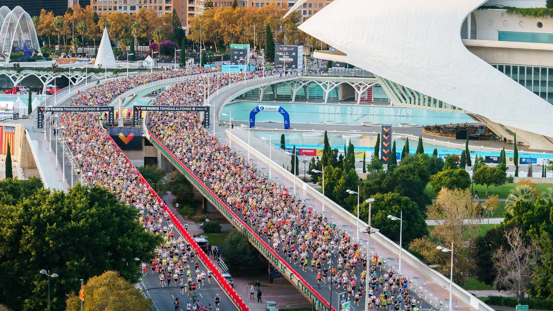 el_maraton_valencia_supera_los_30000_finishers_por_primera_vez_en_su_historia__001.jpg el_maraton_valencia_supera_los_30000_finishers_por_primera_vez_en_su_historia__001.jpg