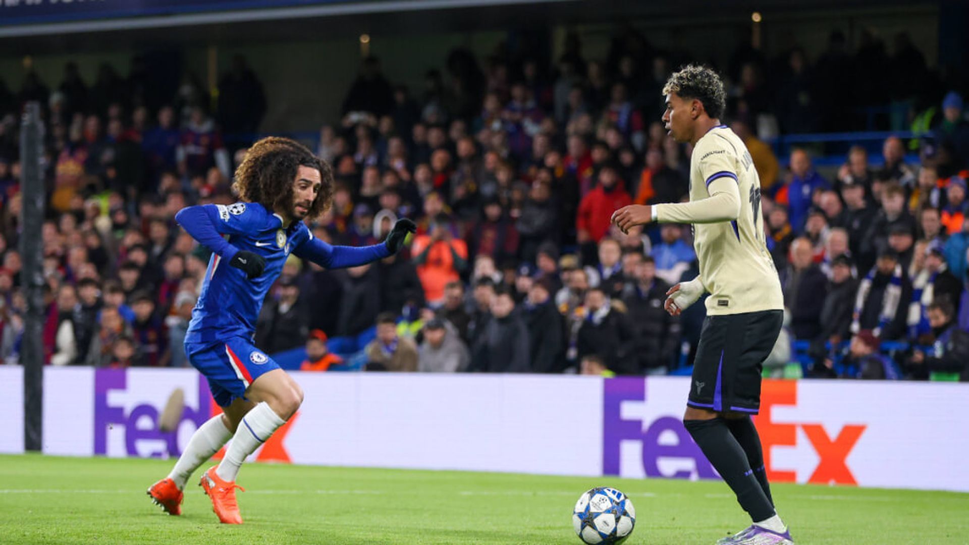 fotojet___2025_11_26t122929391jpg_001.jpg fotojet___2025_11_26t122929391jpg_001.jpg