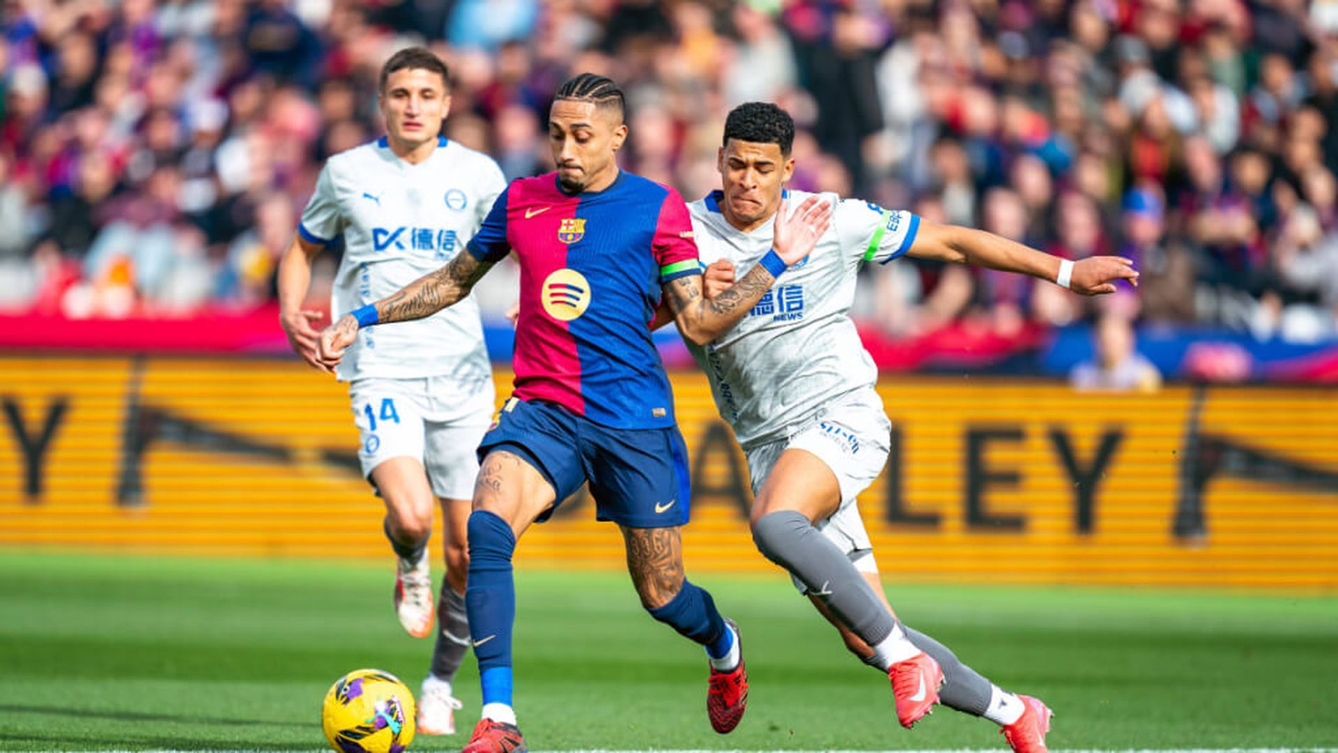 fotojet___2025_11_26t140447042jpg.jpg fotojet___2025_11_26t140447042jpg.jpg