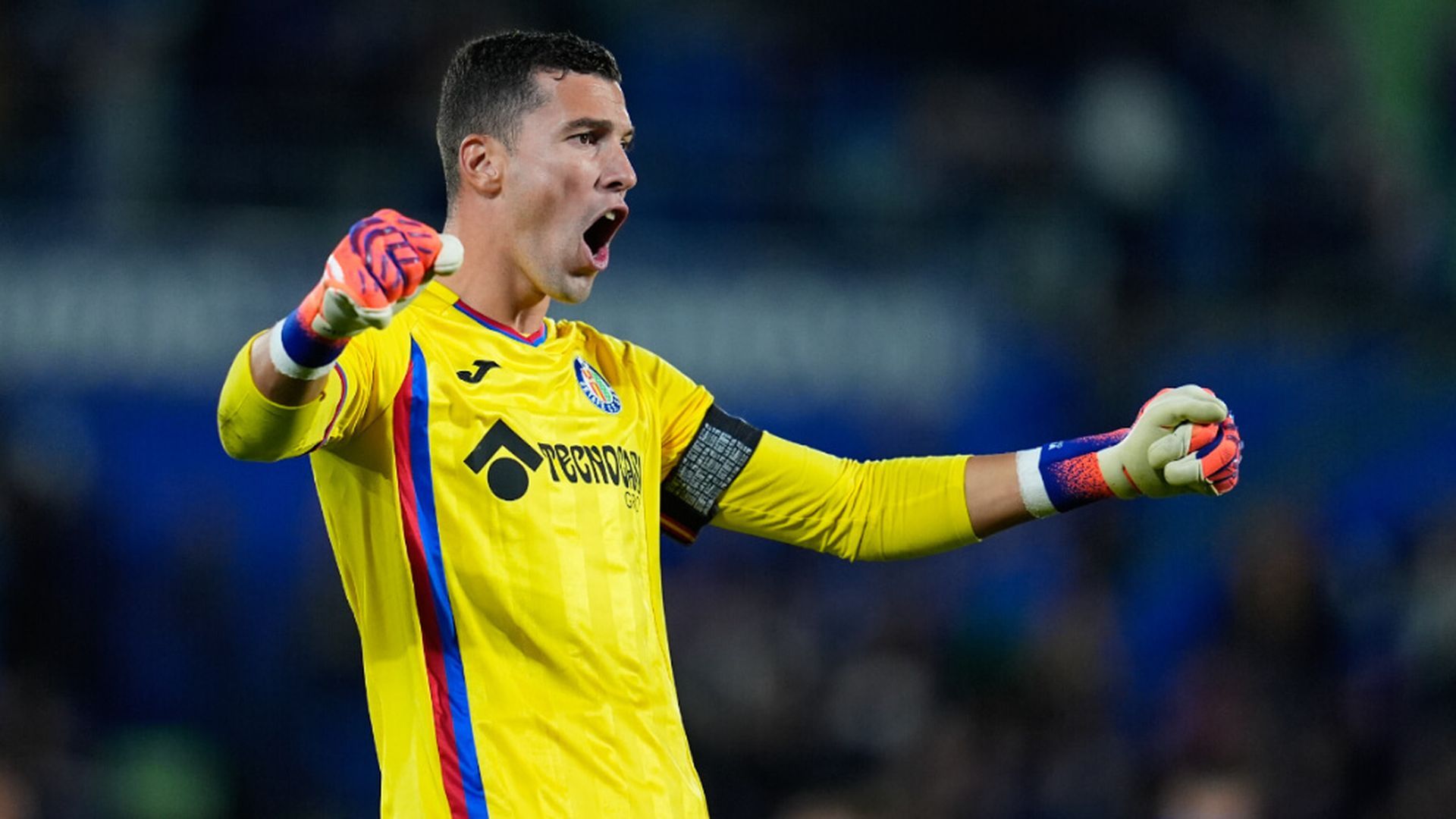 fotojet___2025_11_28t095356701jpg.jpg fotojet___2025_11_28t095356701jpg.jpg