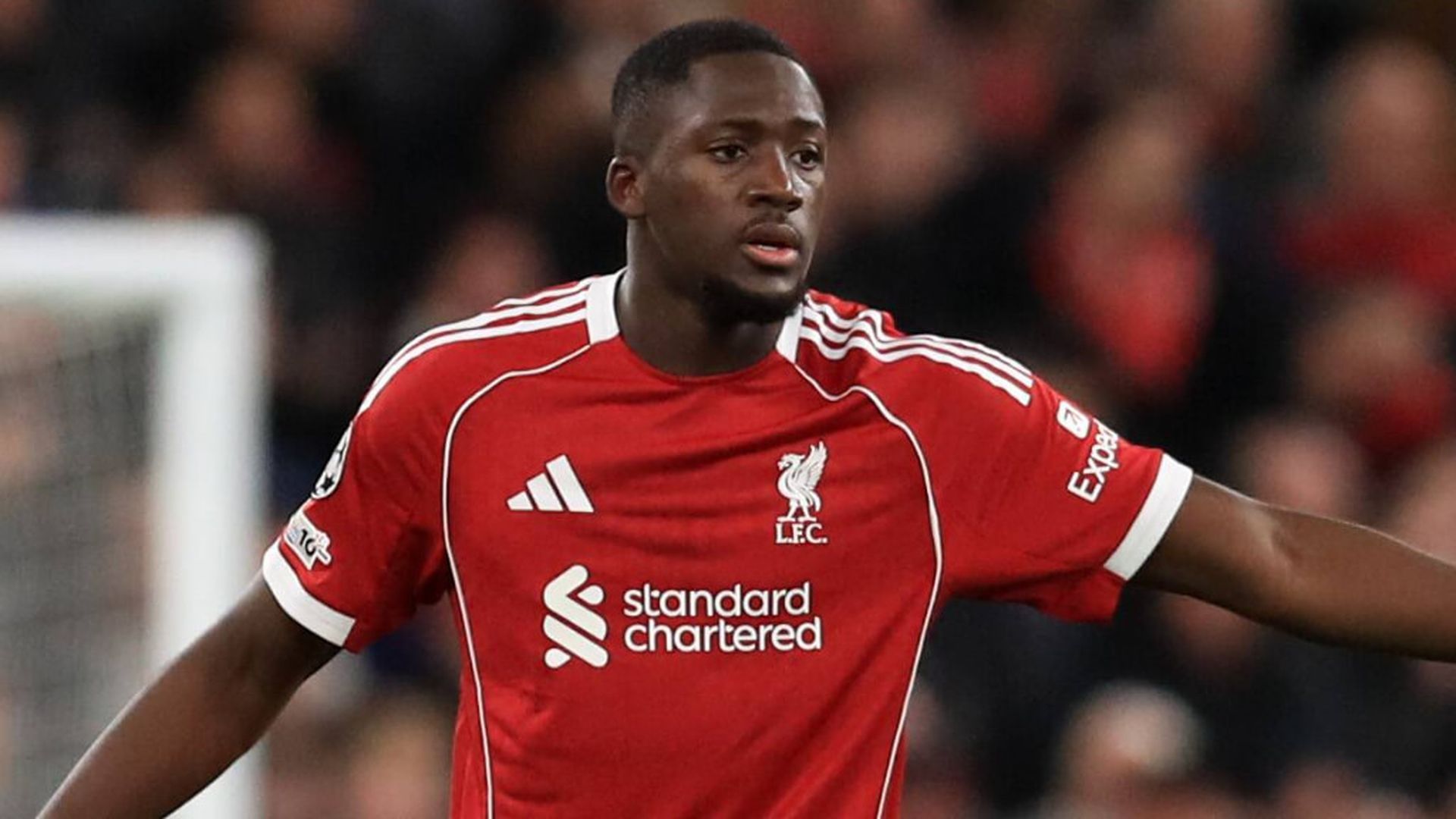 fotojet___2025_11_28t175706064jpg.jpg fotojet___2025_11_28t175706064jpg.jpg