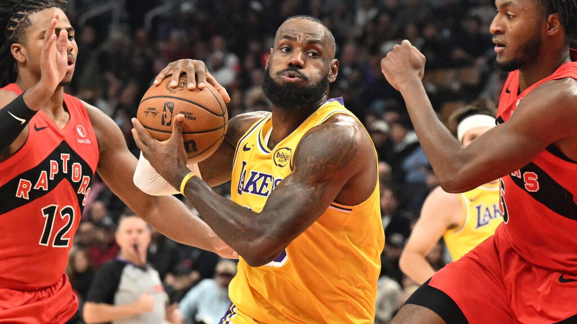 fotojet___2025_12_05t092420470.jpg fotojet___2025_12_05t092420470.jpg