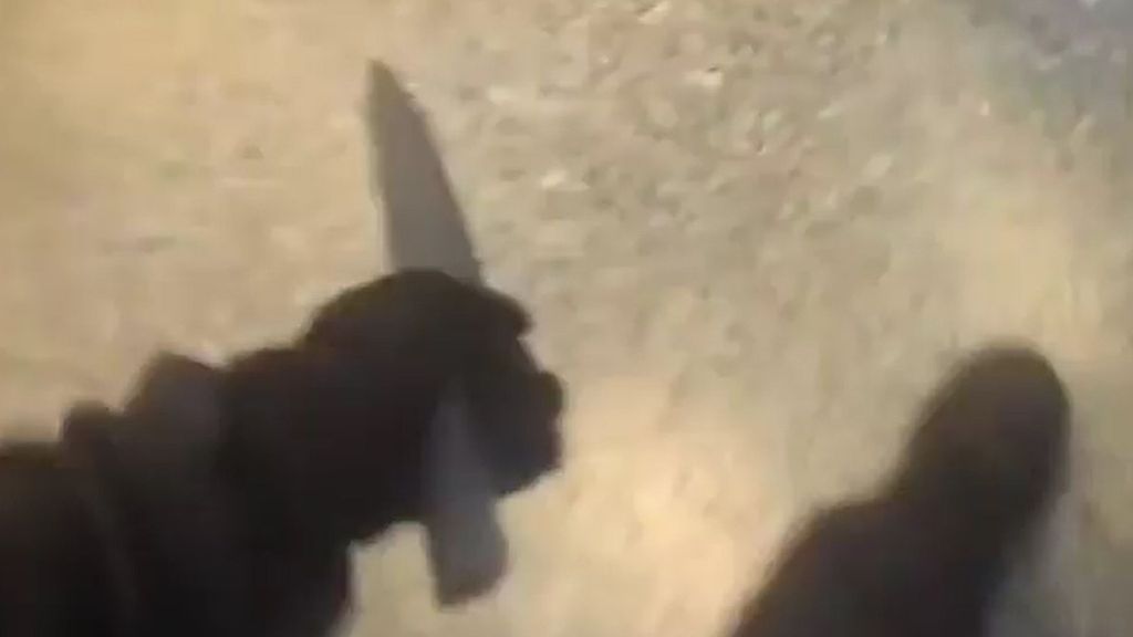 Las imágenes de la intervención de la Policía Local de Burjassot contra un hombre armado en el metro