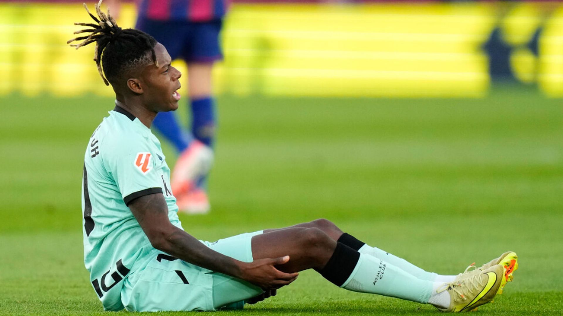 nicowijpg_001.jpg nicowijpg_001.jpg