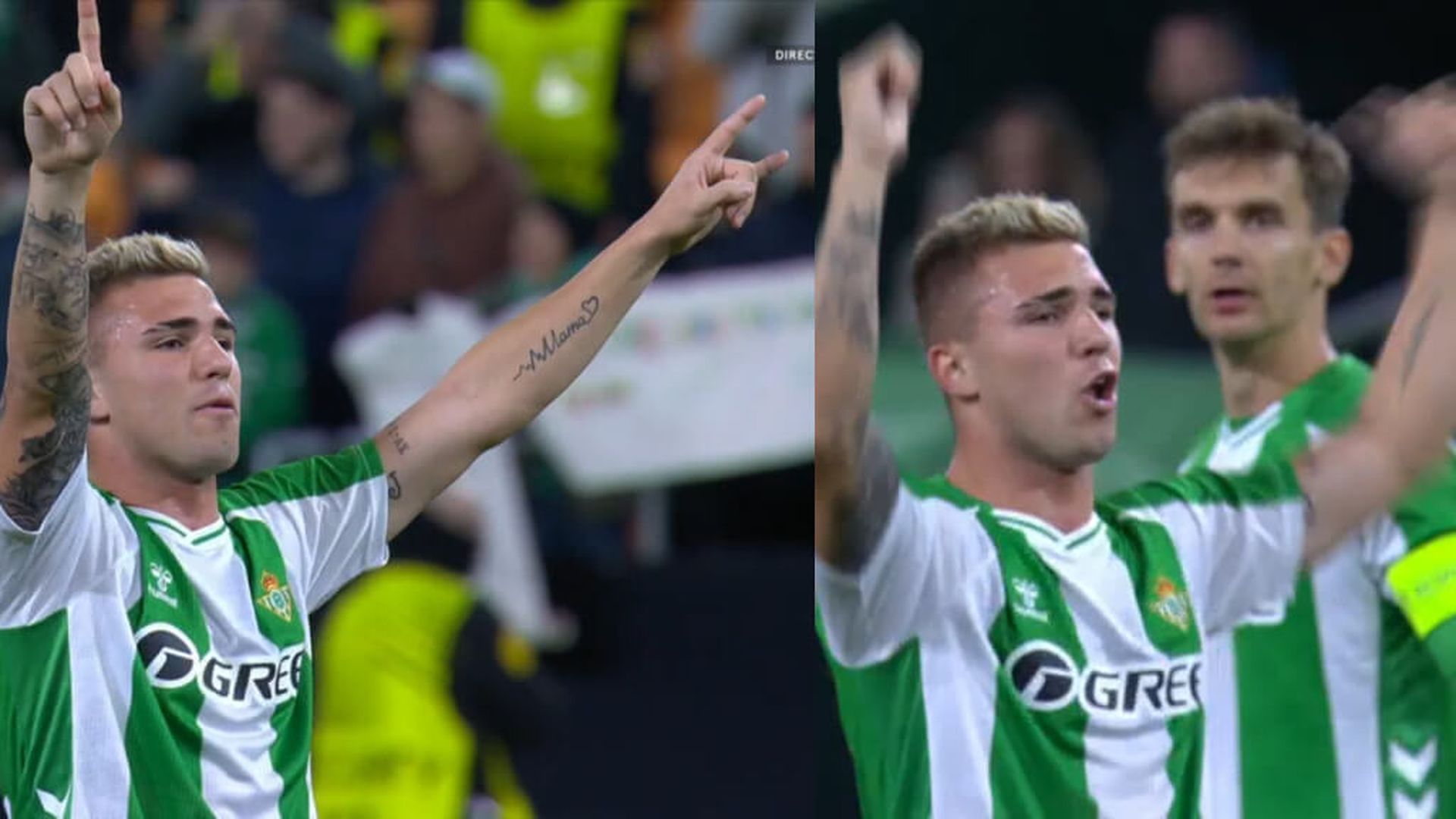 proyecto_nuevo_12jpg.jpg proyecto_nuevo_12jpg.jpg