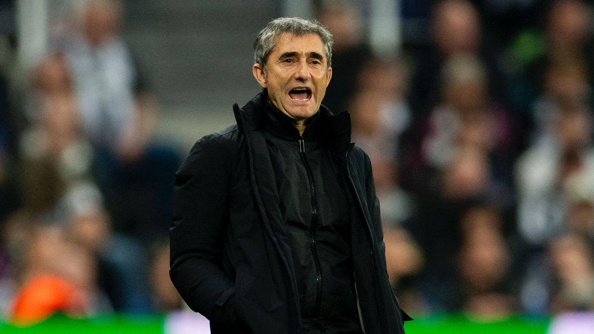 valverdejpg_001.jpg valverdejpg_001.jpg