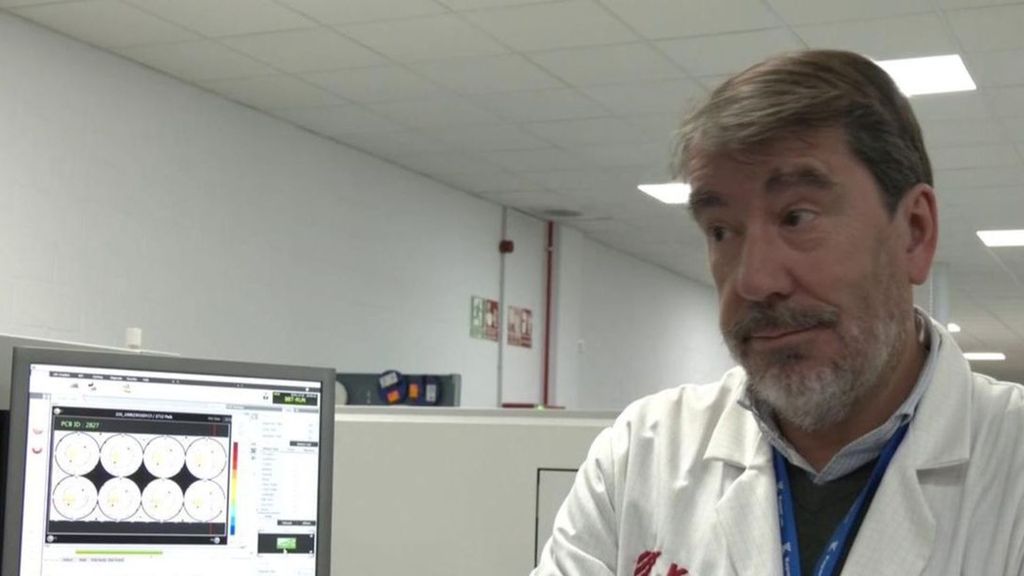 Balizas V16: En la fábrica donde se hace una cada 4 segundos no dan abasto