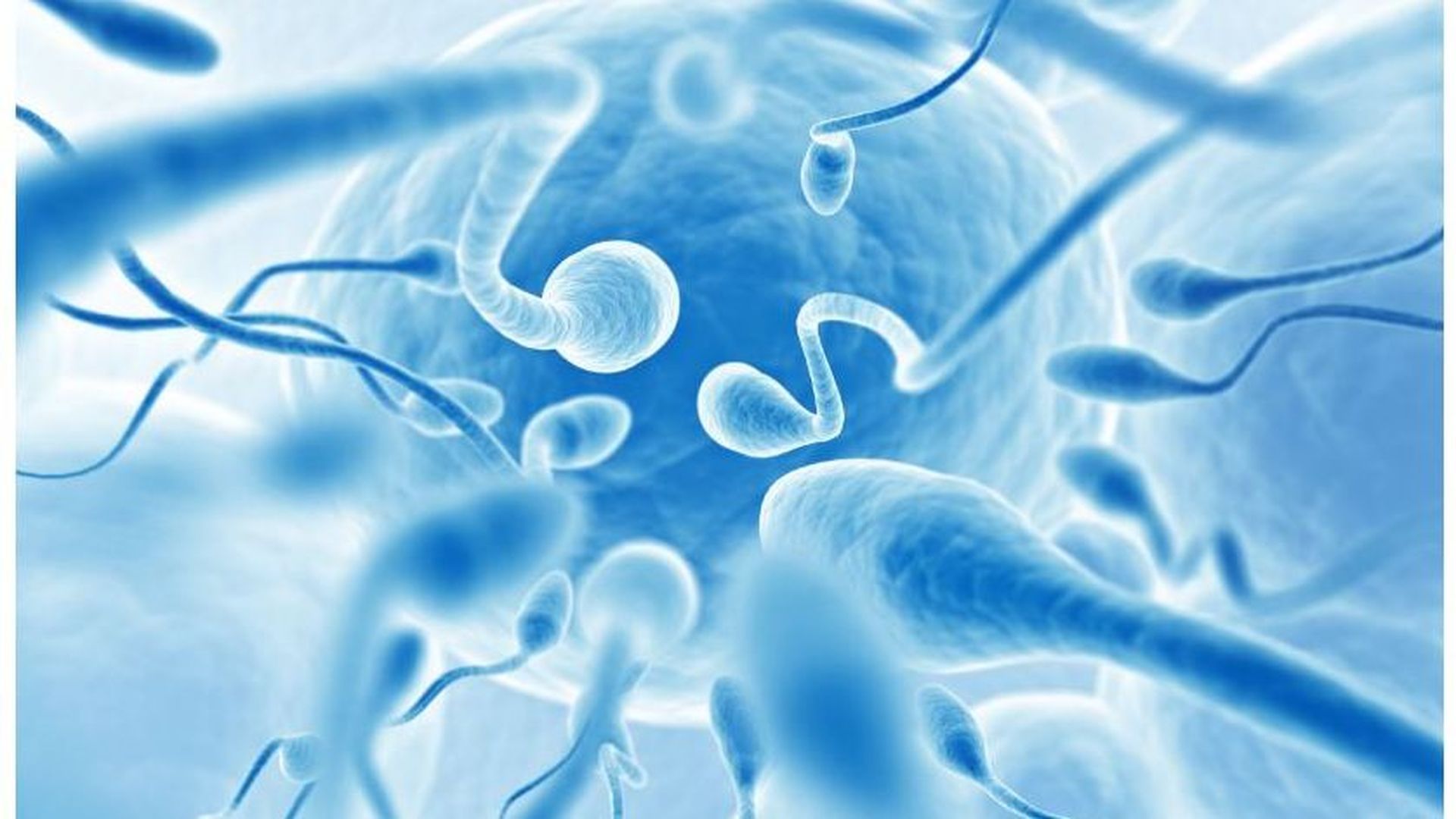 Denuncian a un donante de semen en Noruega