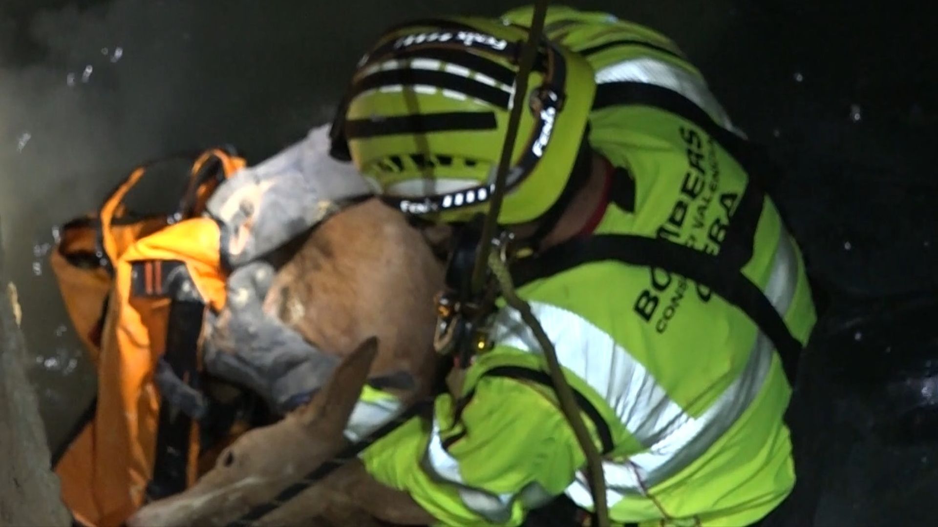 Rescatan a un perro con vida tras caer a un pozo de 18 metros de profundidad en Picassent, Valencia