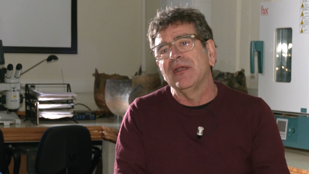 ¿Se puede poner fecha al origen del fuego? Descubren sedimentos con rastros de hogueras de hace 400.000 años