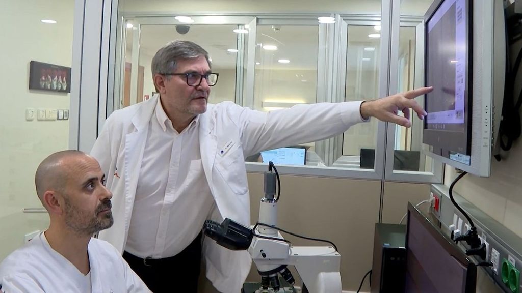 Las clínicas españolas, sobre el donante de semen danés: "No todas las células de su cuerpo tenían la mutación, solo las que fabrican espermatozoides"