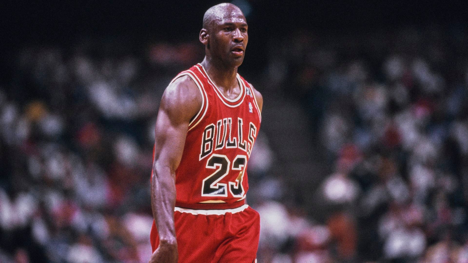 Michael Jordan Michael Jordan