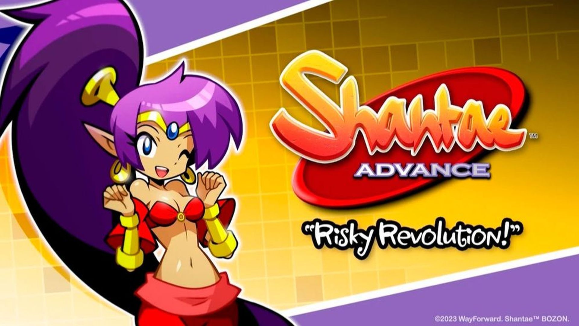 Shantae Advance: Risky Revolution Shantae Advance: Risky Revolution