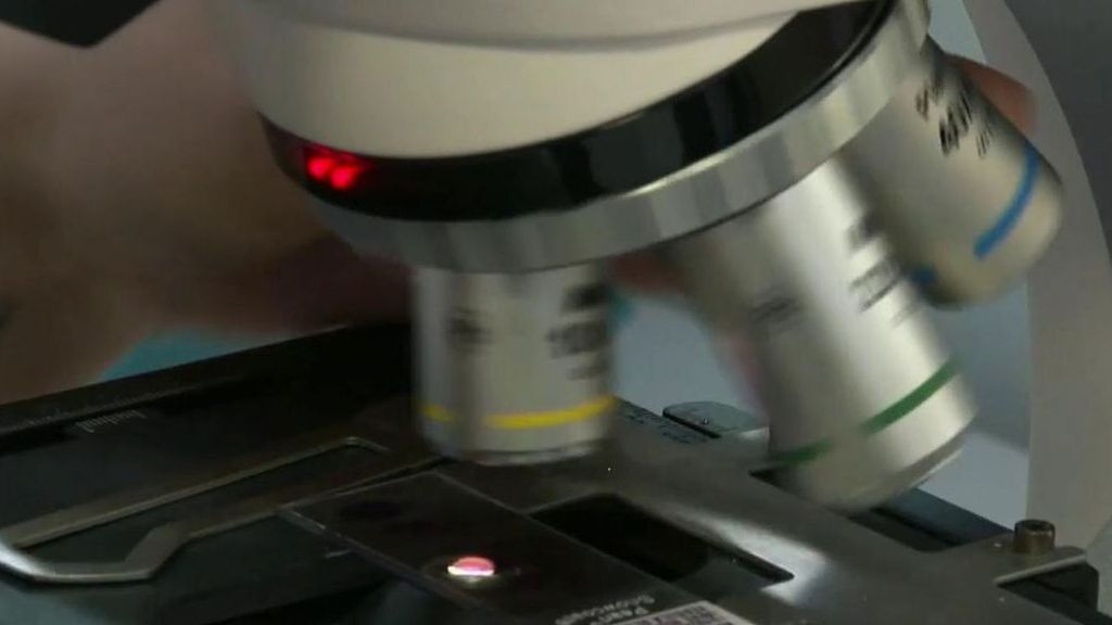 Crean una píldora que acaba con la gonorrea