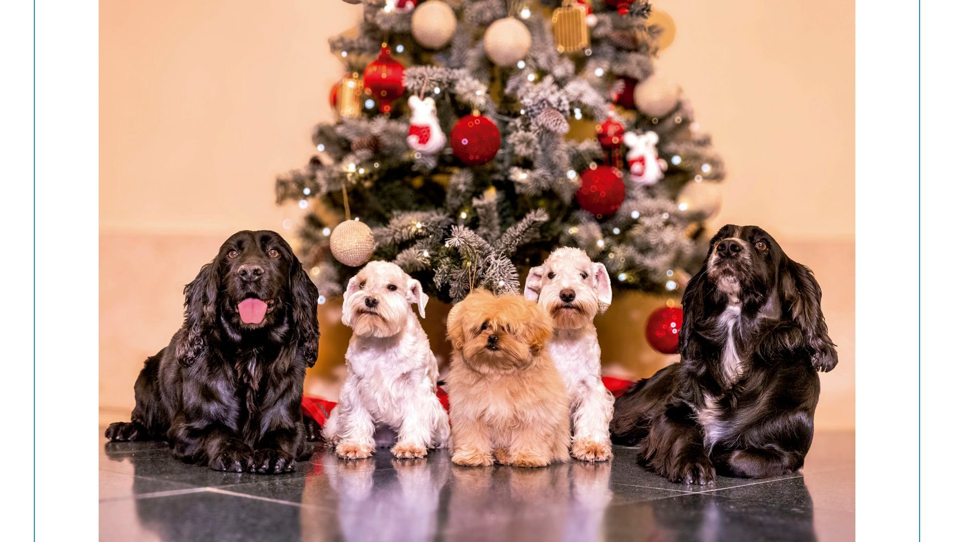 El christmas de los eméritos