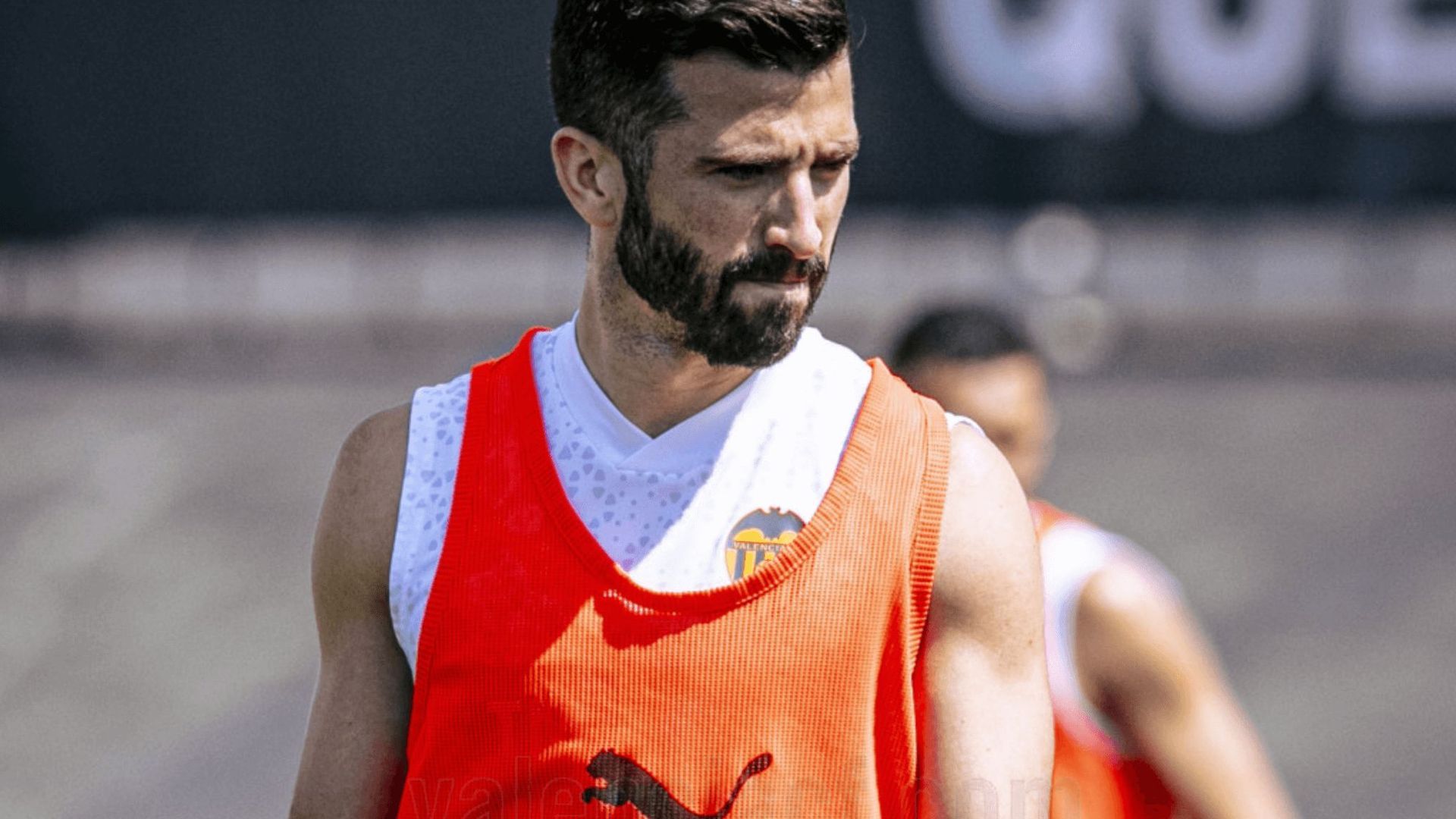 gaya_en_el_entrenamiento.png gaya_en_el_entrenamiento.png