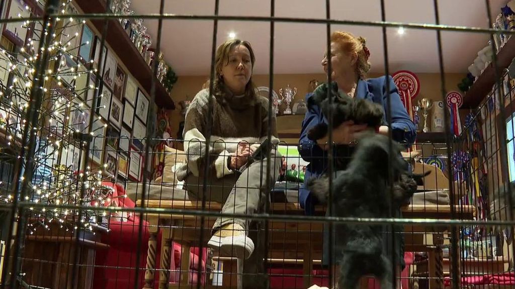 Jacqueline, la mujer que dice no a los padres que quieren comprar perros en Navidad