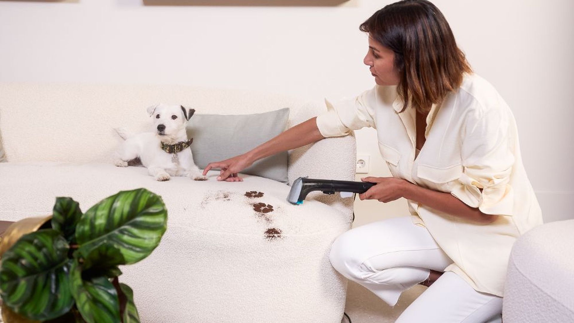 Clean it Animal IN5020 de Rowenta