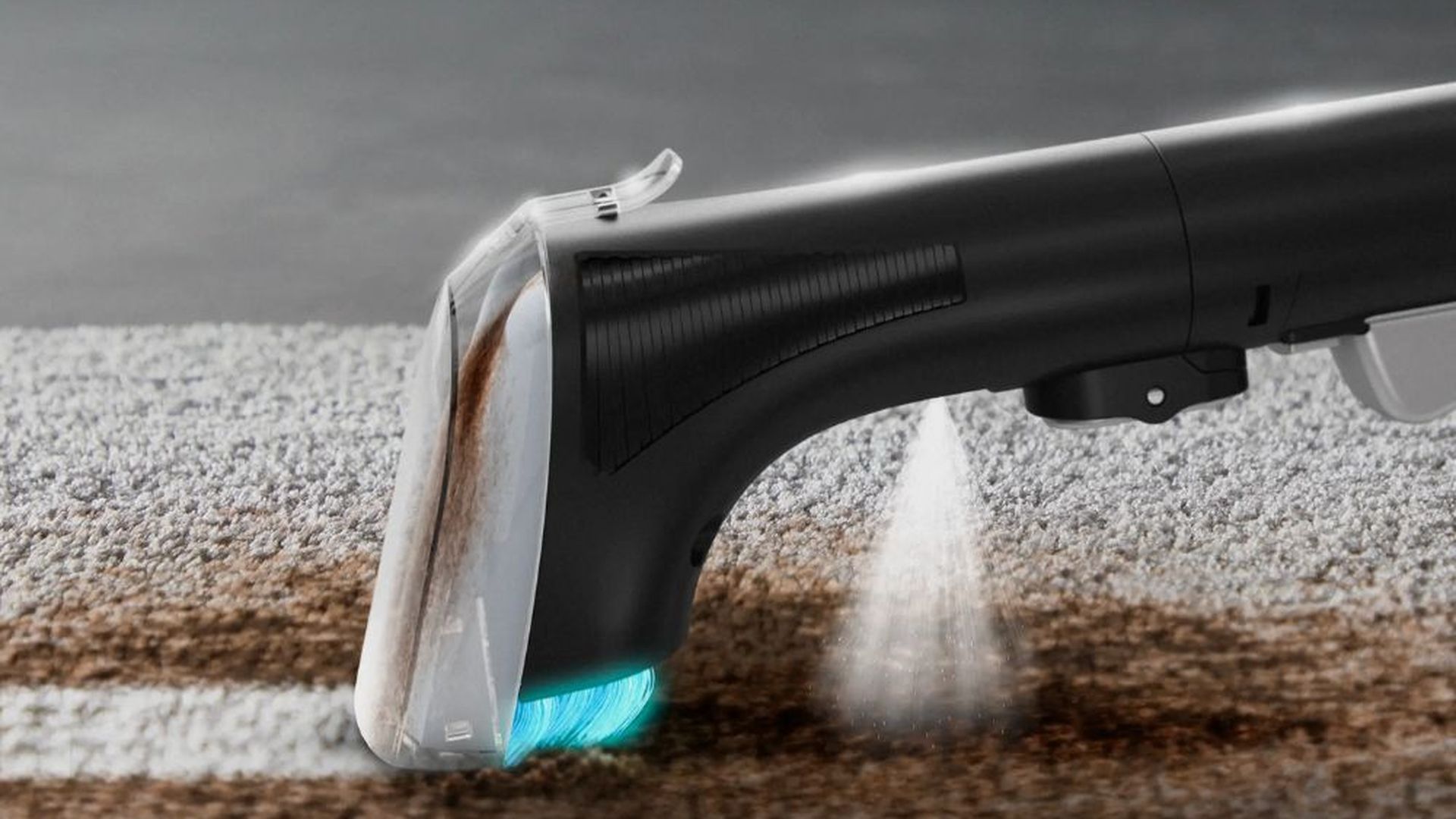 Clean it Compact Animal IN3020 de Rowenta