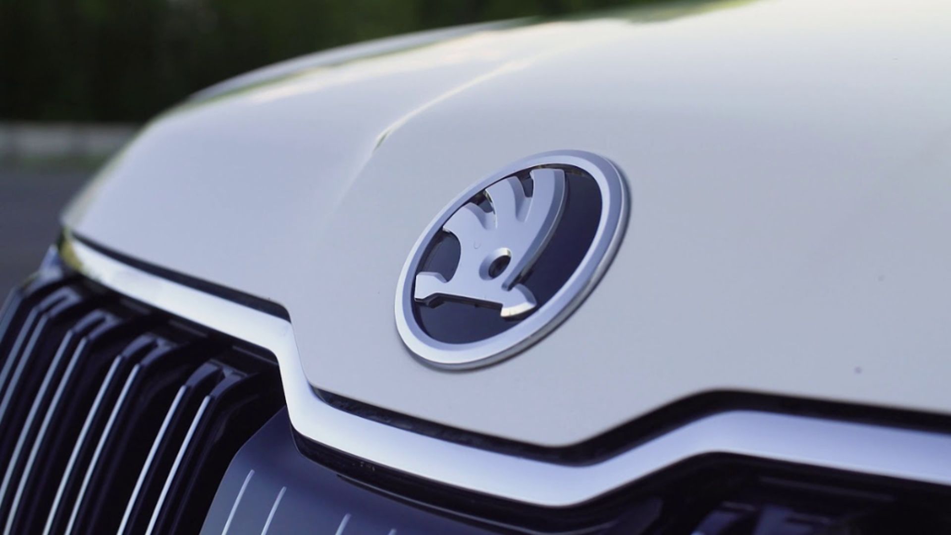 Skoda Logo Skoda Logo