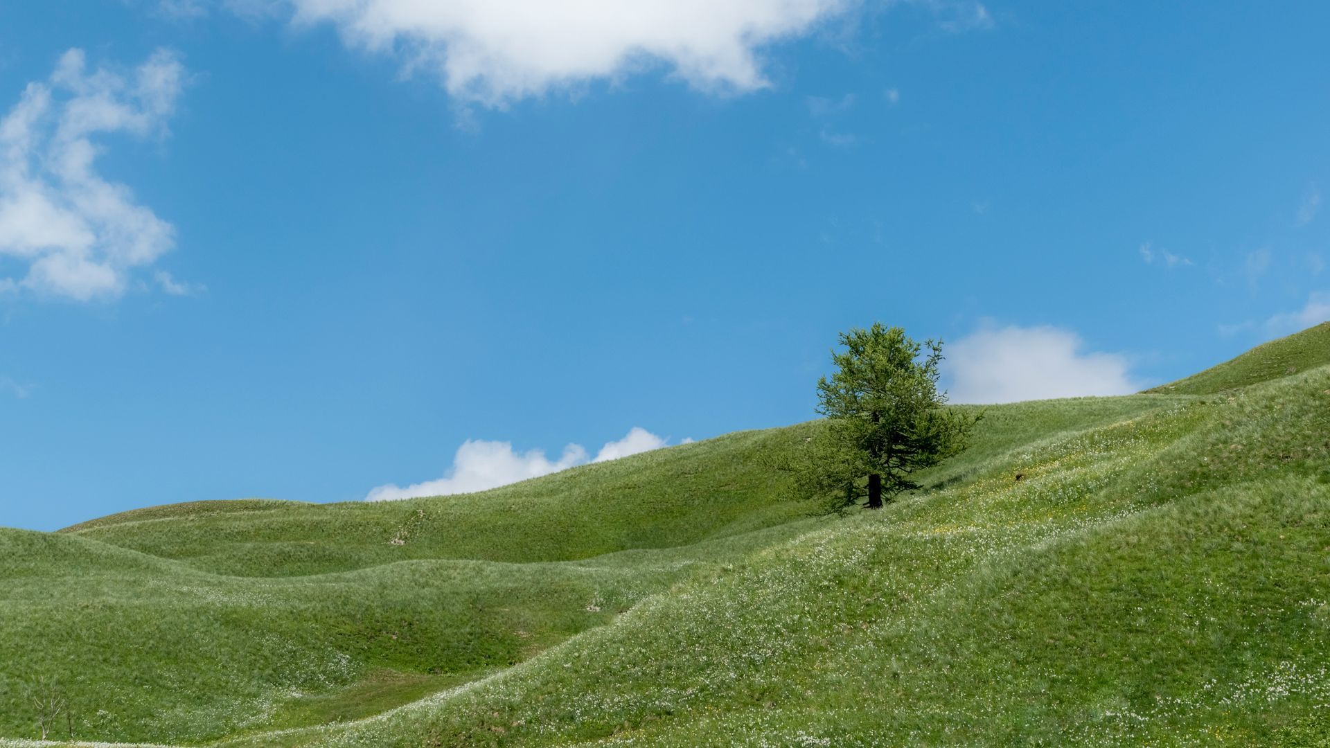 cerros unsplash cerros unsplash