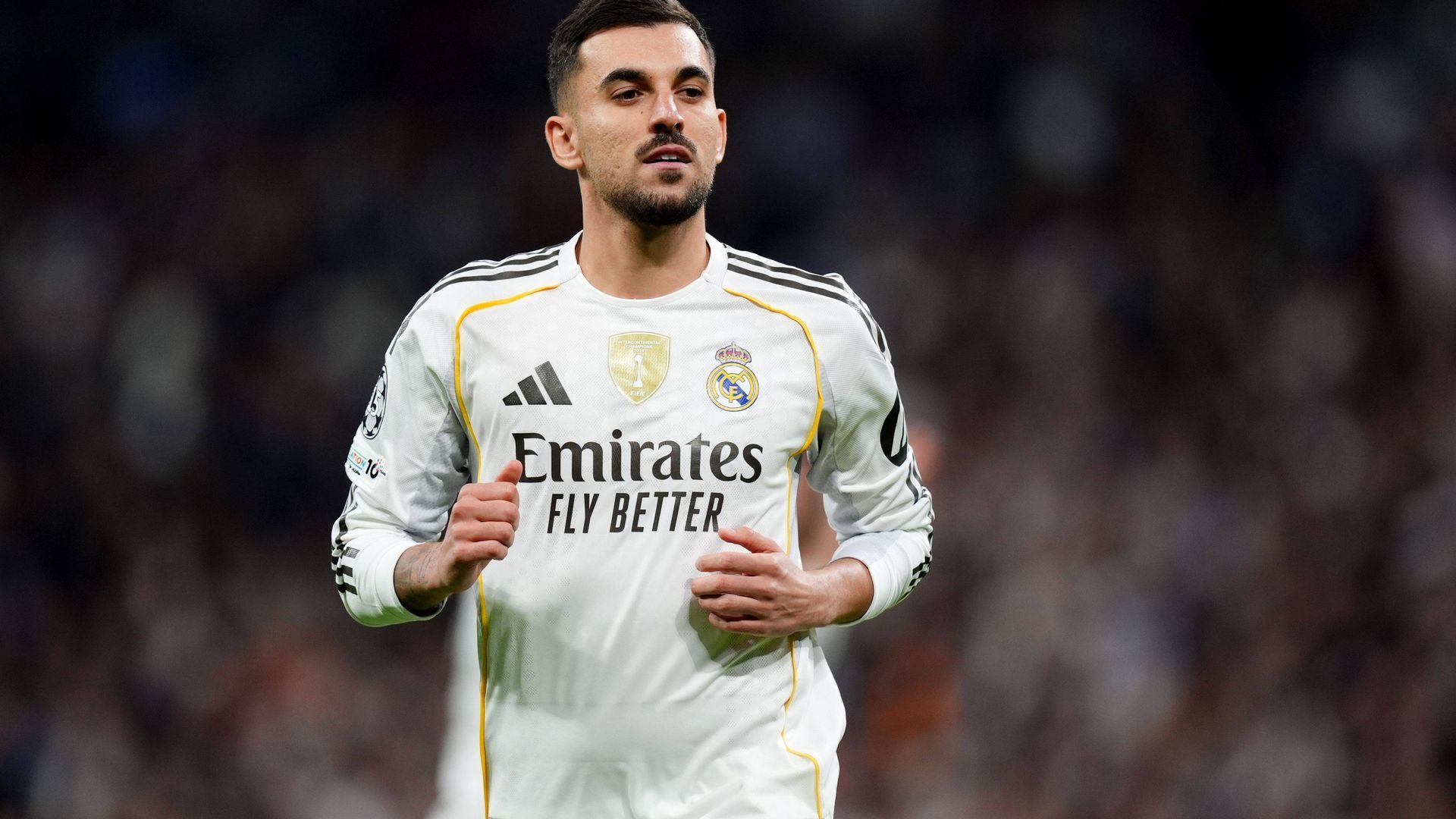 Dani Ceballos durante un partido del Real Madrid