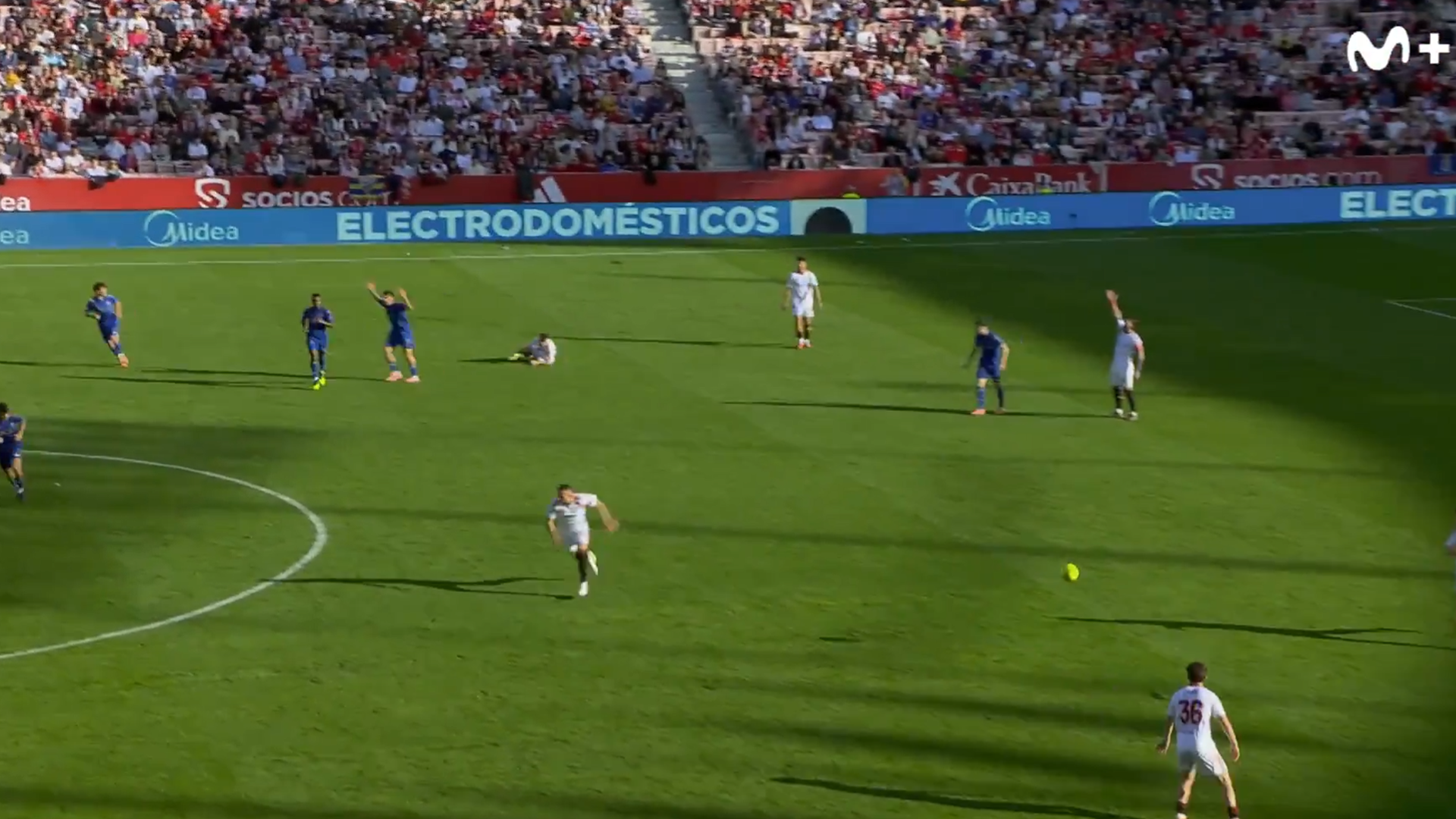 Javi López recrimina a Haissem Hassan una acción Javi López recrimina a Haissem Hassan una acción